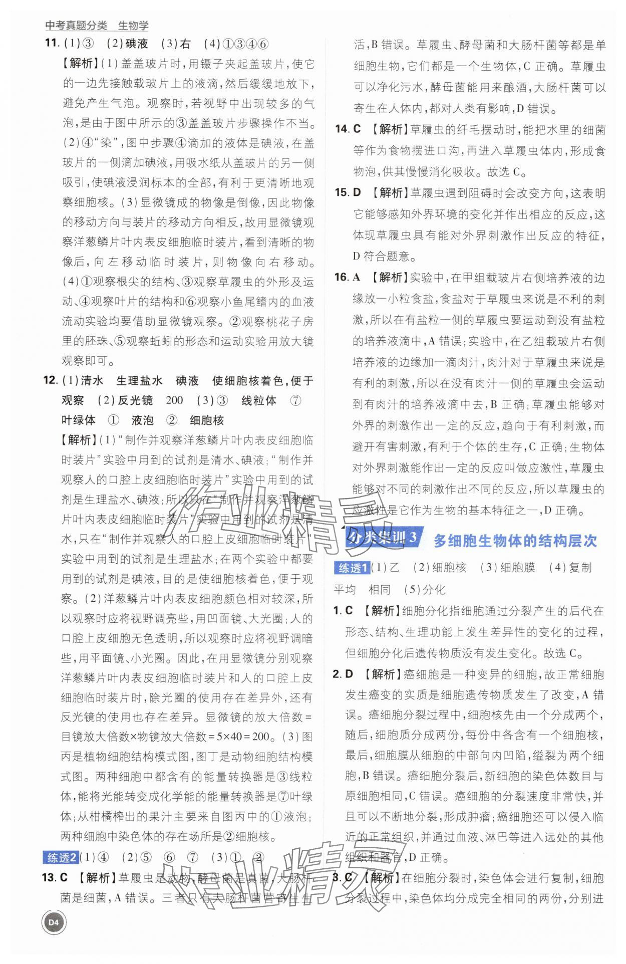 2025年中考真题分类生物&nbsp;第4页