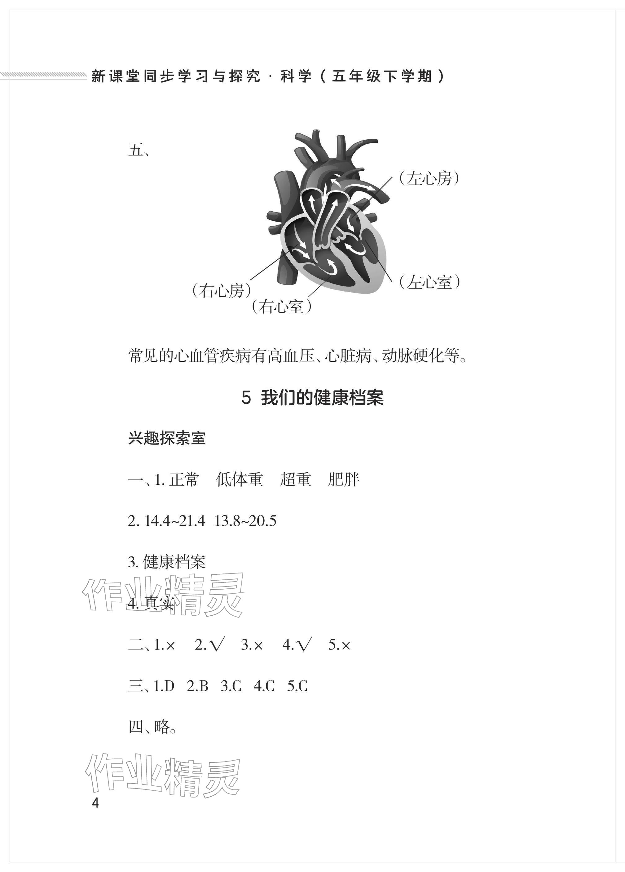2026年新课堂同步学习与探究五年级科学下册青岛版&nbsp;参考答案第4页