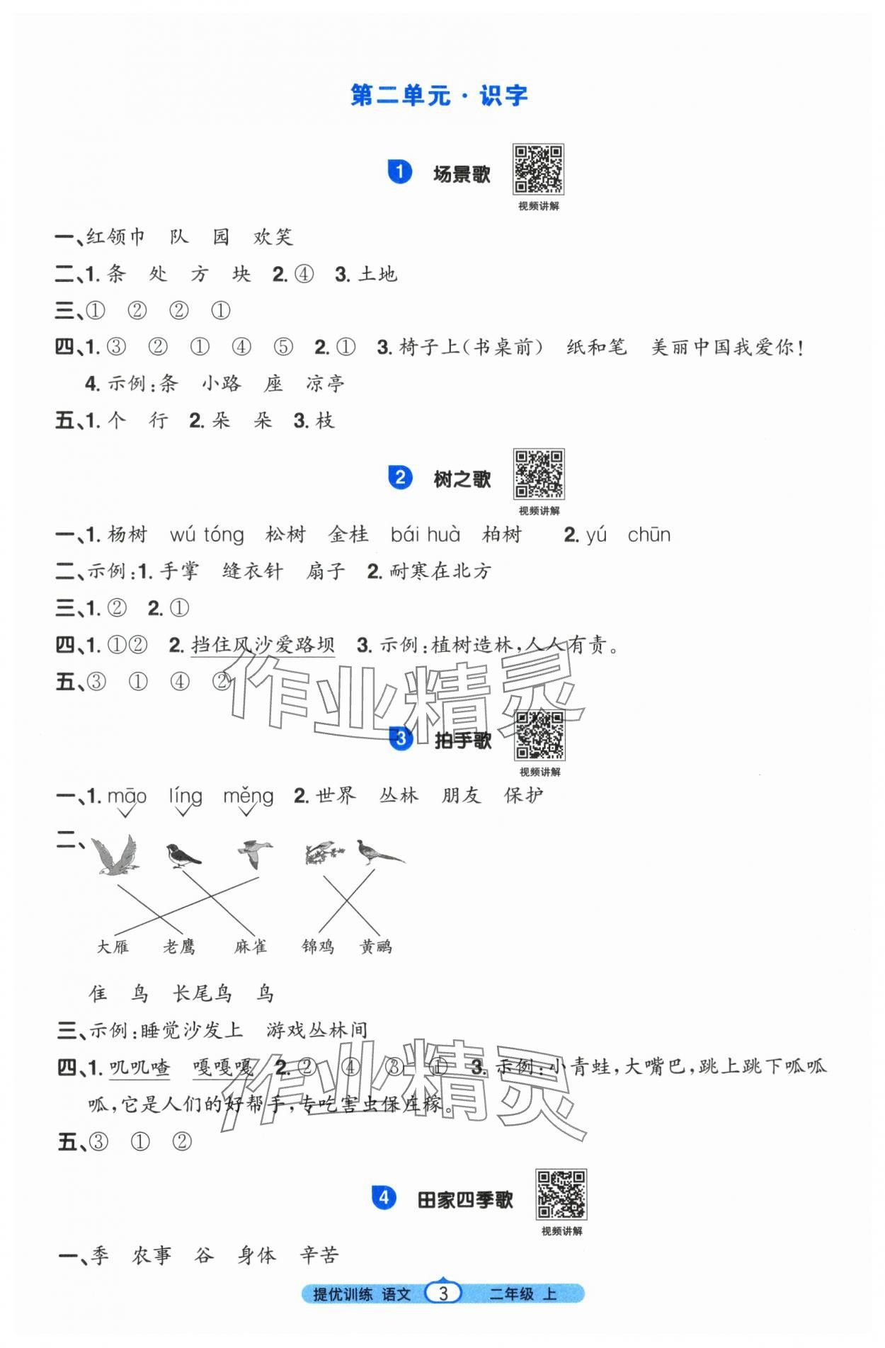 2025年阳光同学课时提优训练二年级语文上册人教版&nbsp;第3页