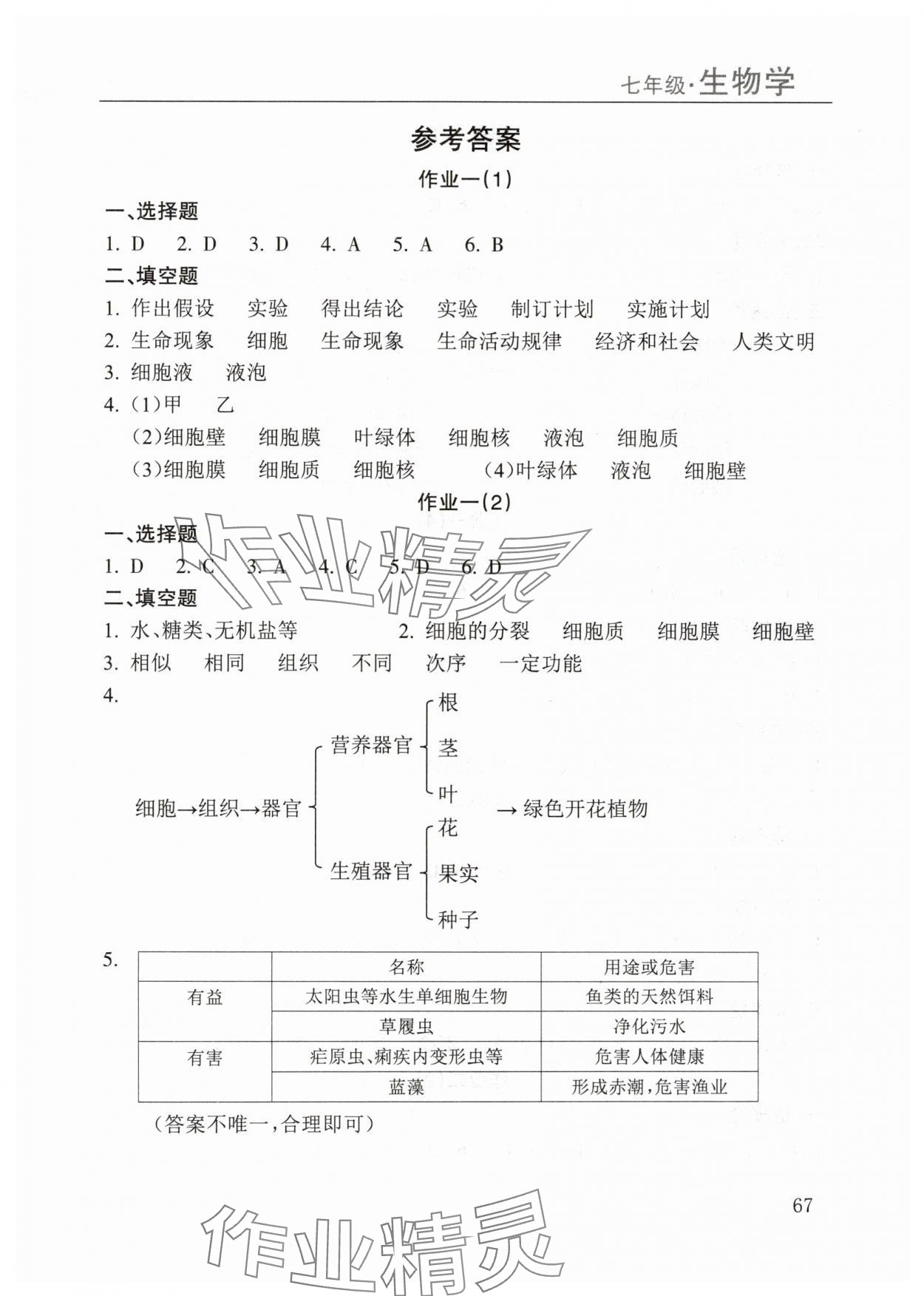 2025年寒假課程練習(xí)南方出版社七年級(jí)生物 第1頁(yè)