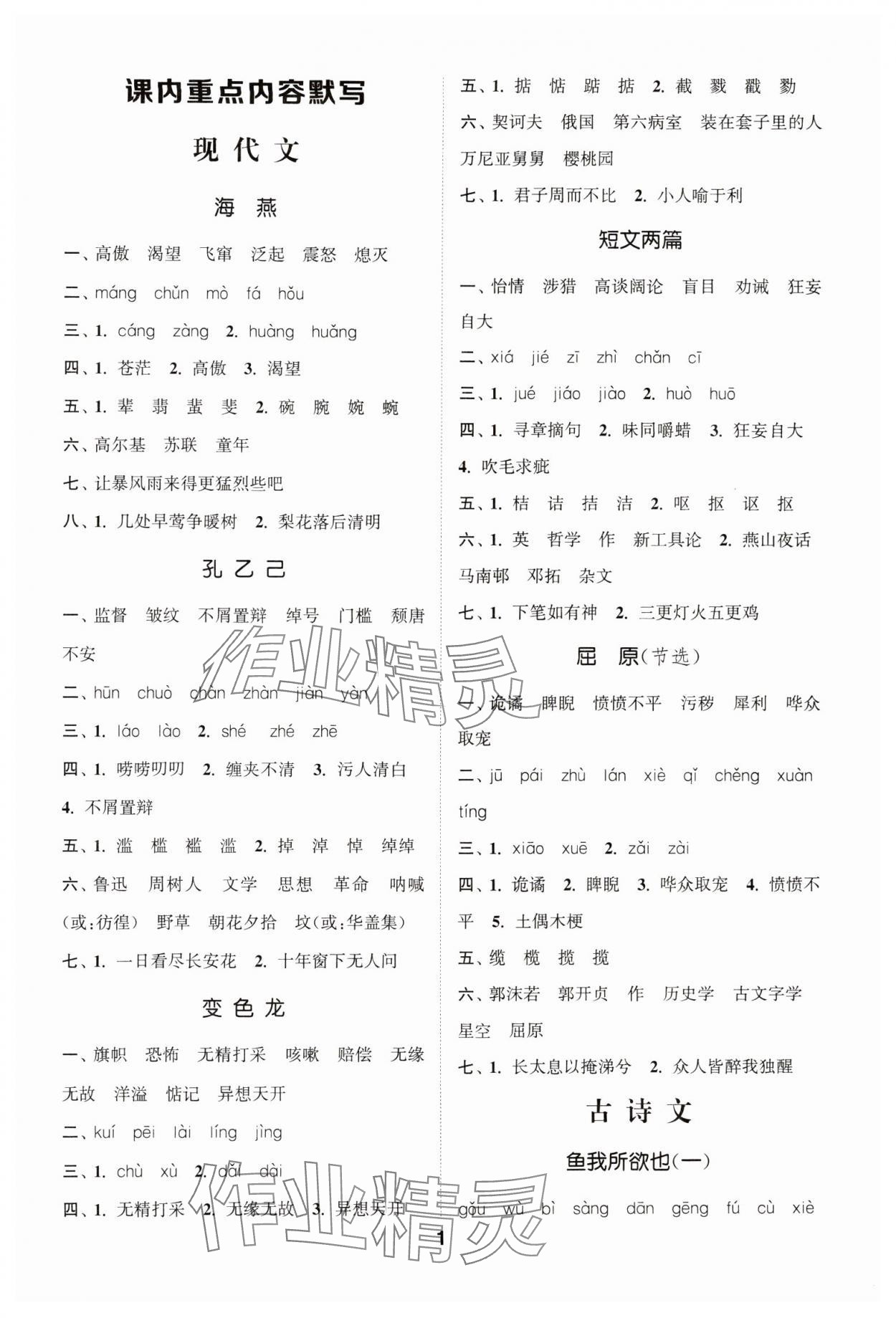 2024年通城學(xué)典默寫能手九年級(jí)語(yǔ)文下冊(cè)人教版 第1頁(yè)