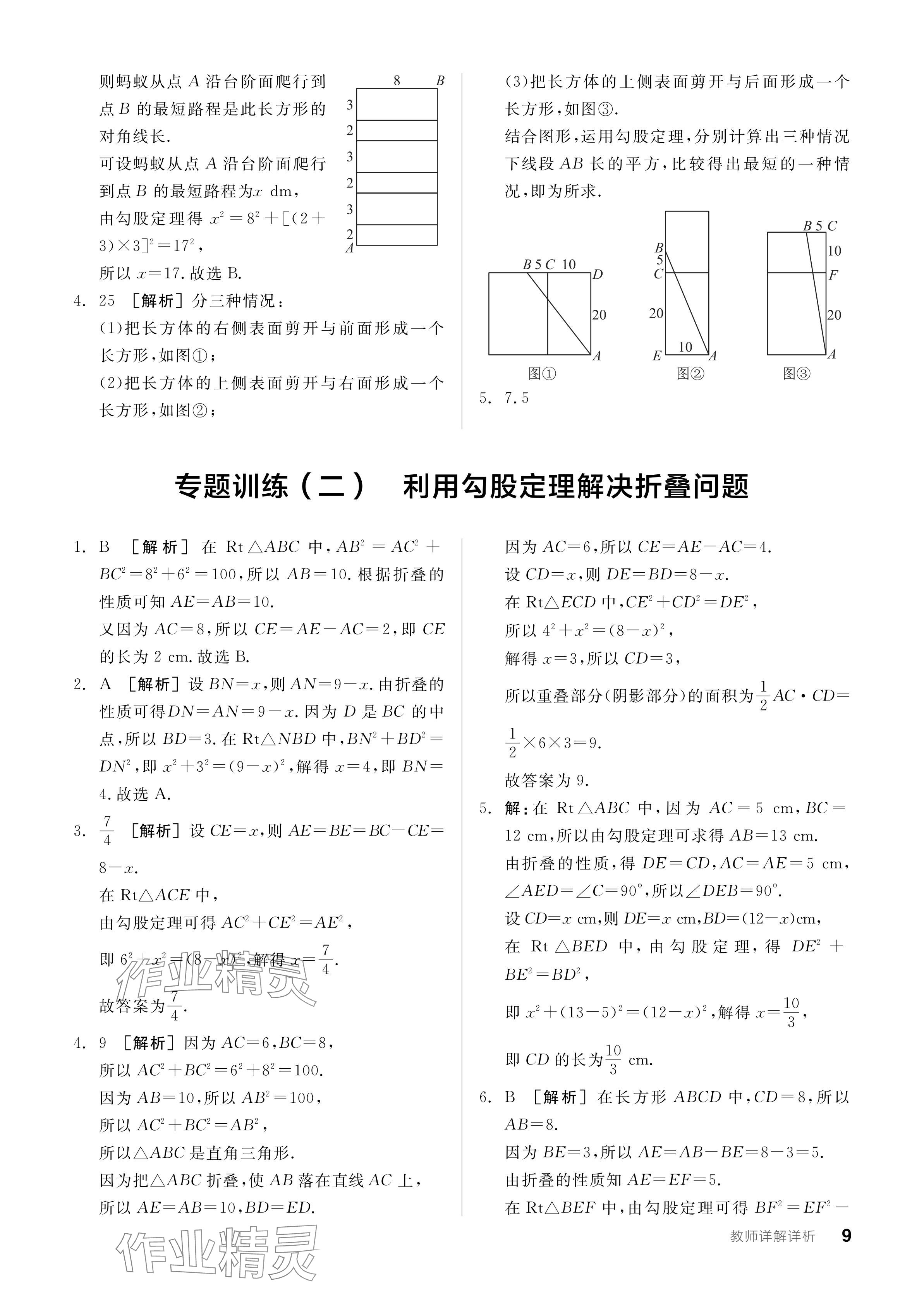 2024年全品学练考八年级数学上册北师大版深圳专版 参考答案第11页