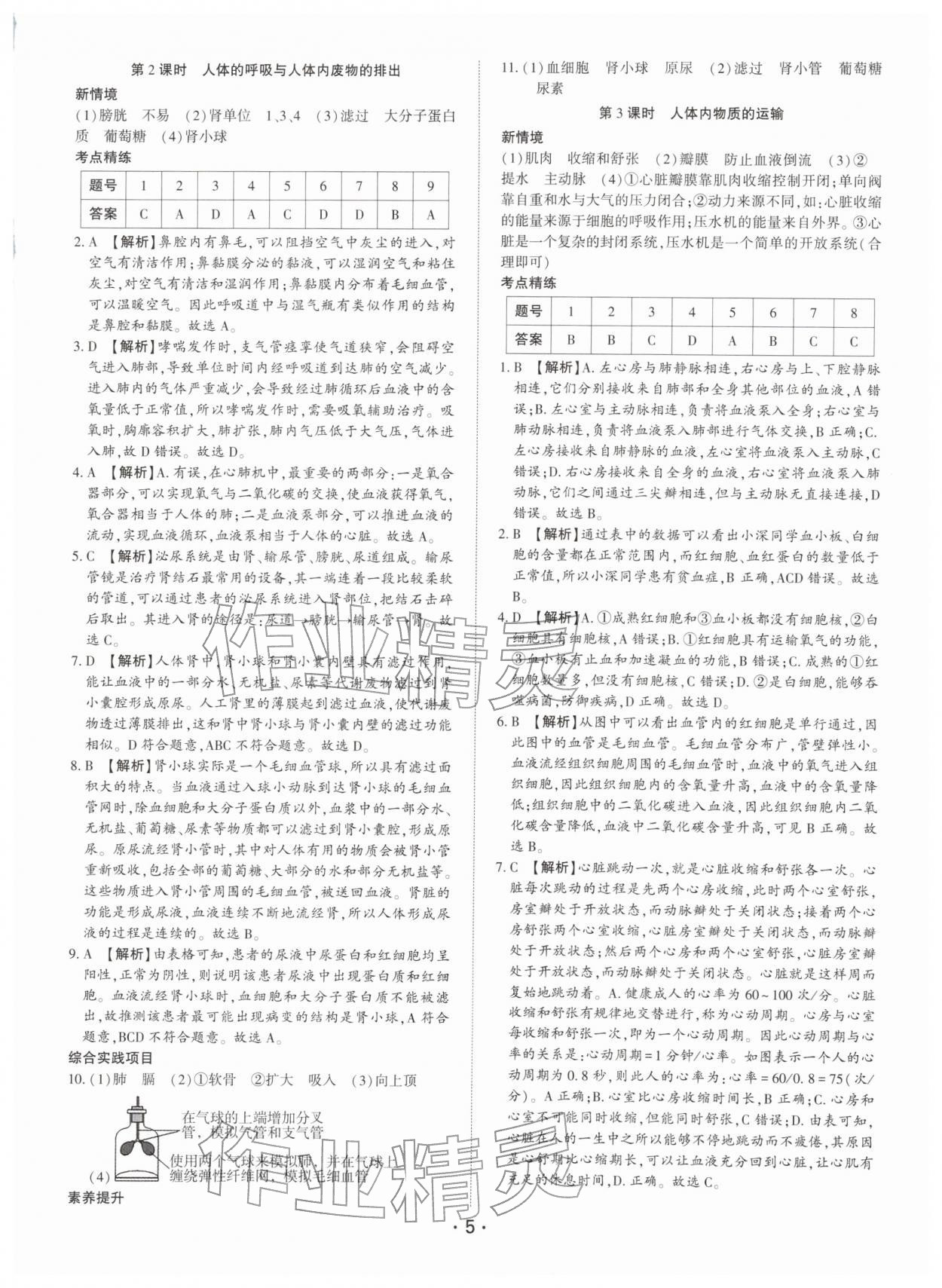 2026年深圳市初中学业水平考试生物中考&nbsp;第5页