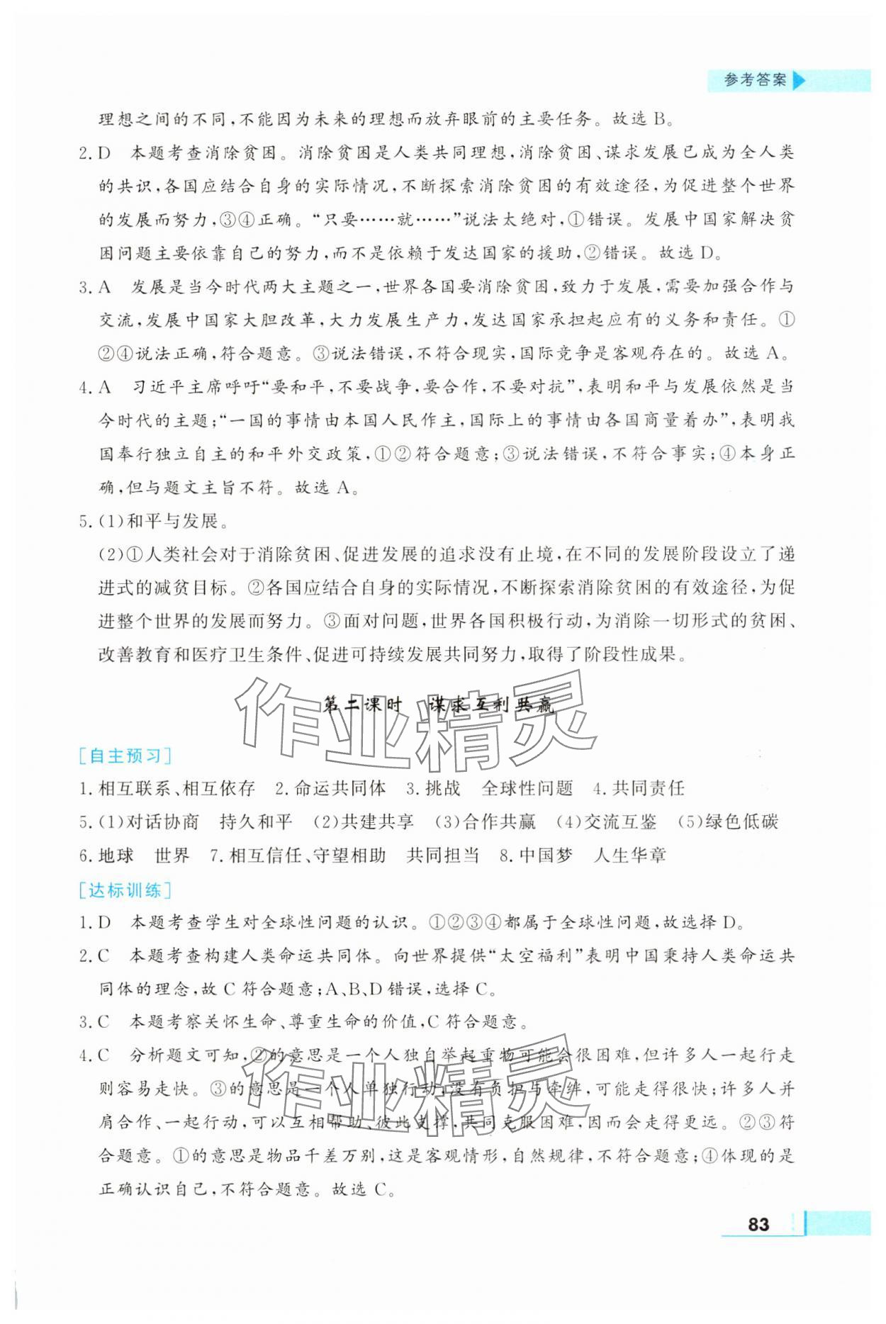 2025年名師點撥配套練習(xí)課時作業(yè)九年級道德與法治下冊人教版 第5頁