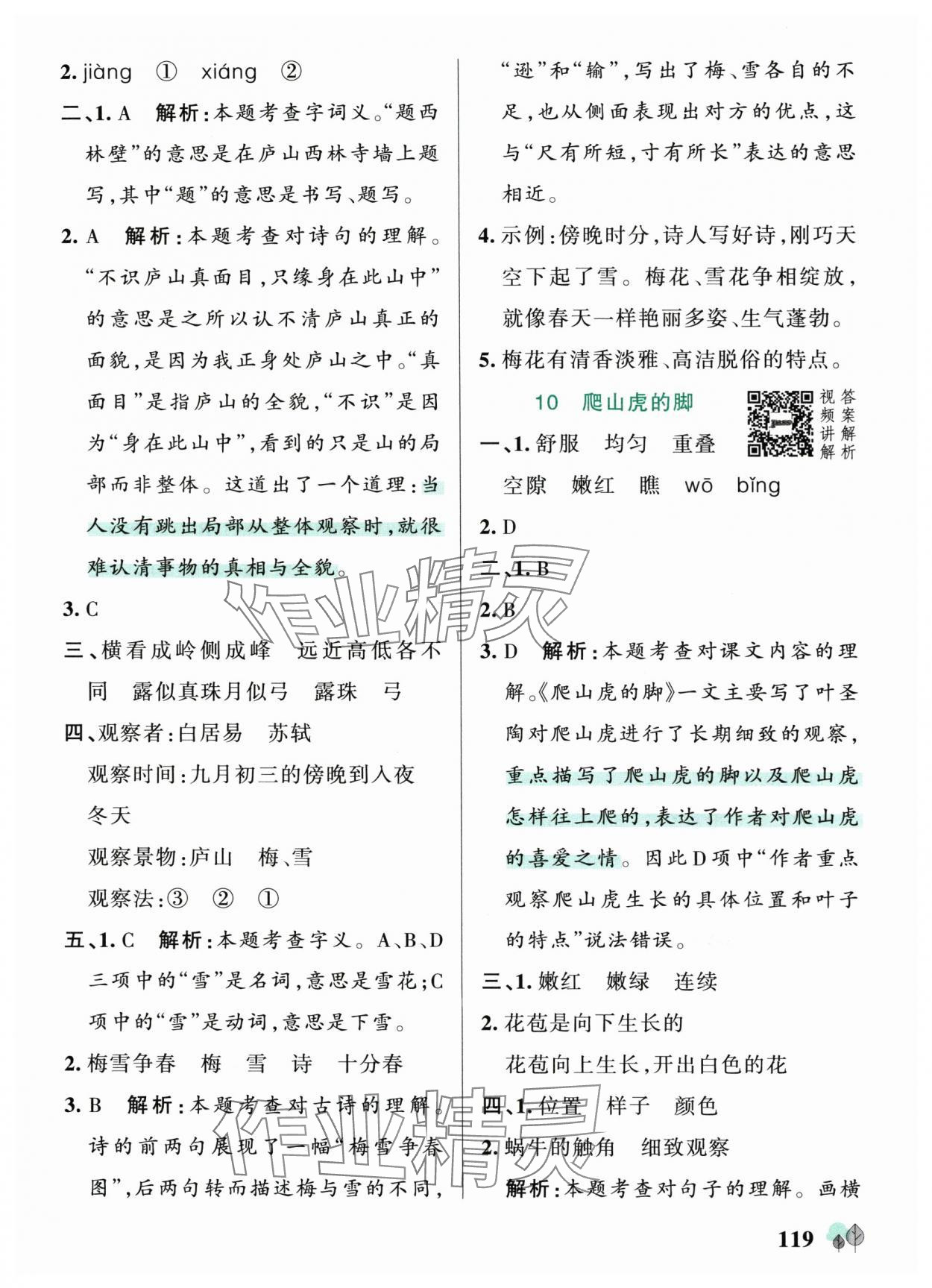 2025年綠卡提優(yōu)特訓(xùn)四年級語文上冊人教版&nbsp;參考答案第11頁