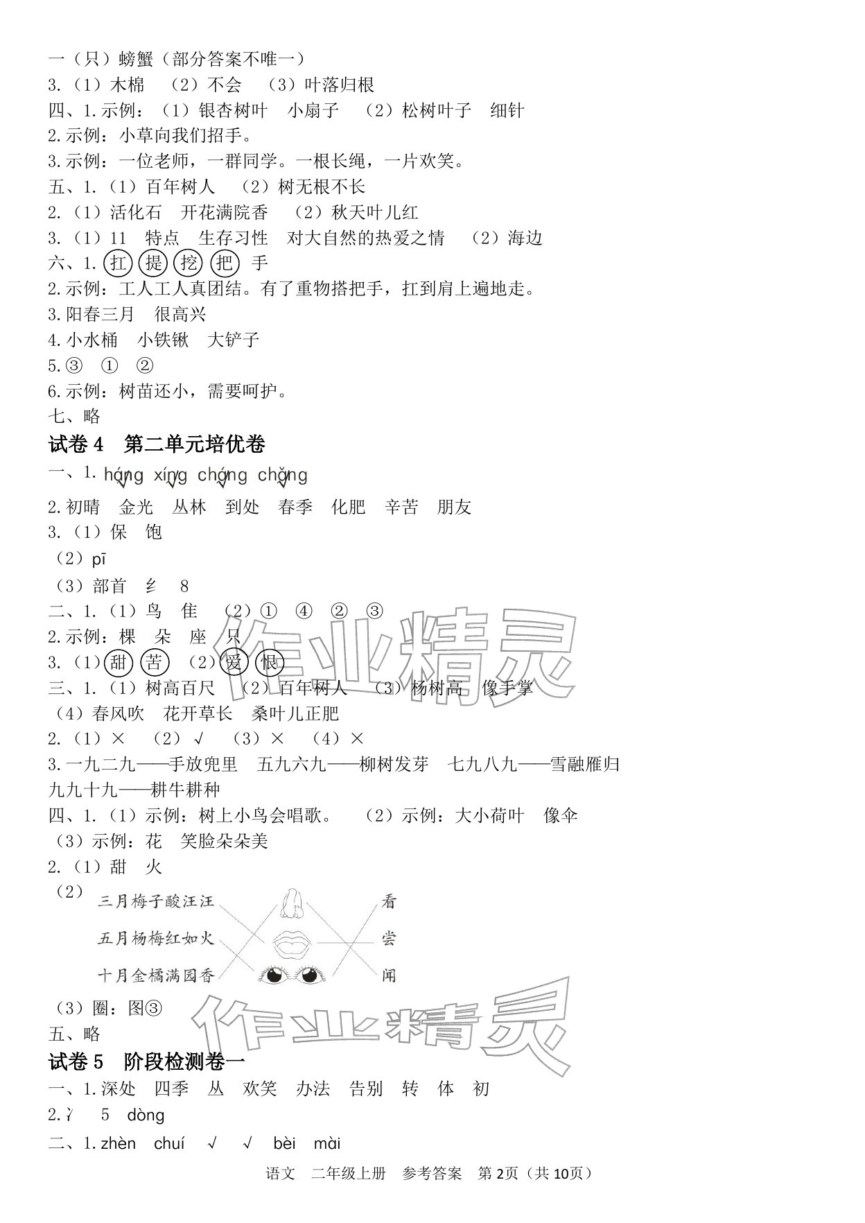 2025年四清活頁卷二年級語文上冊人教版&nbsp;參考答案第2頁
