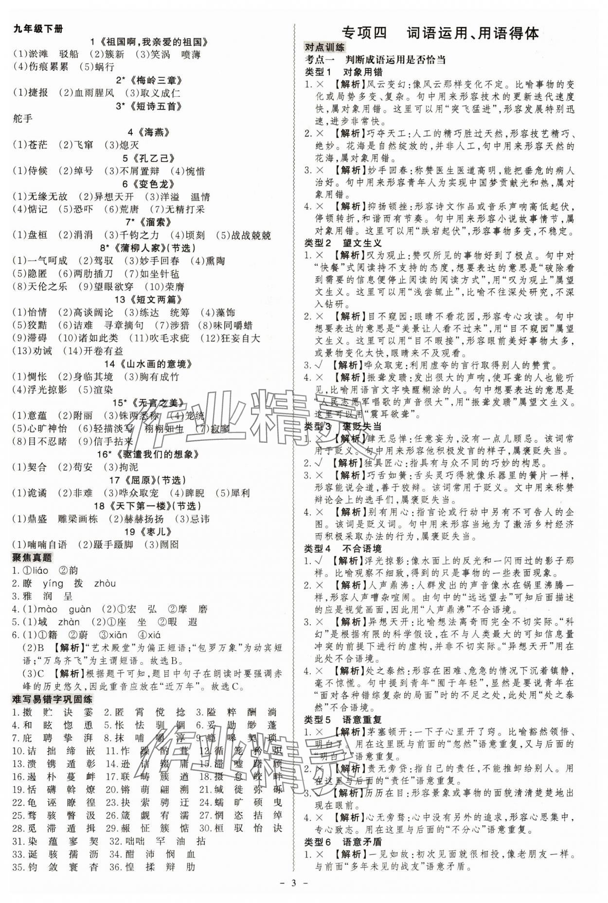 2024年名師中考語文中考廣東專用 第3頁