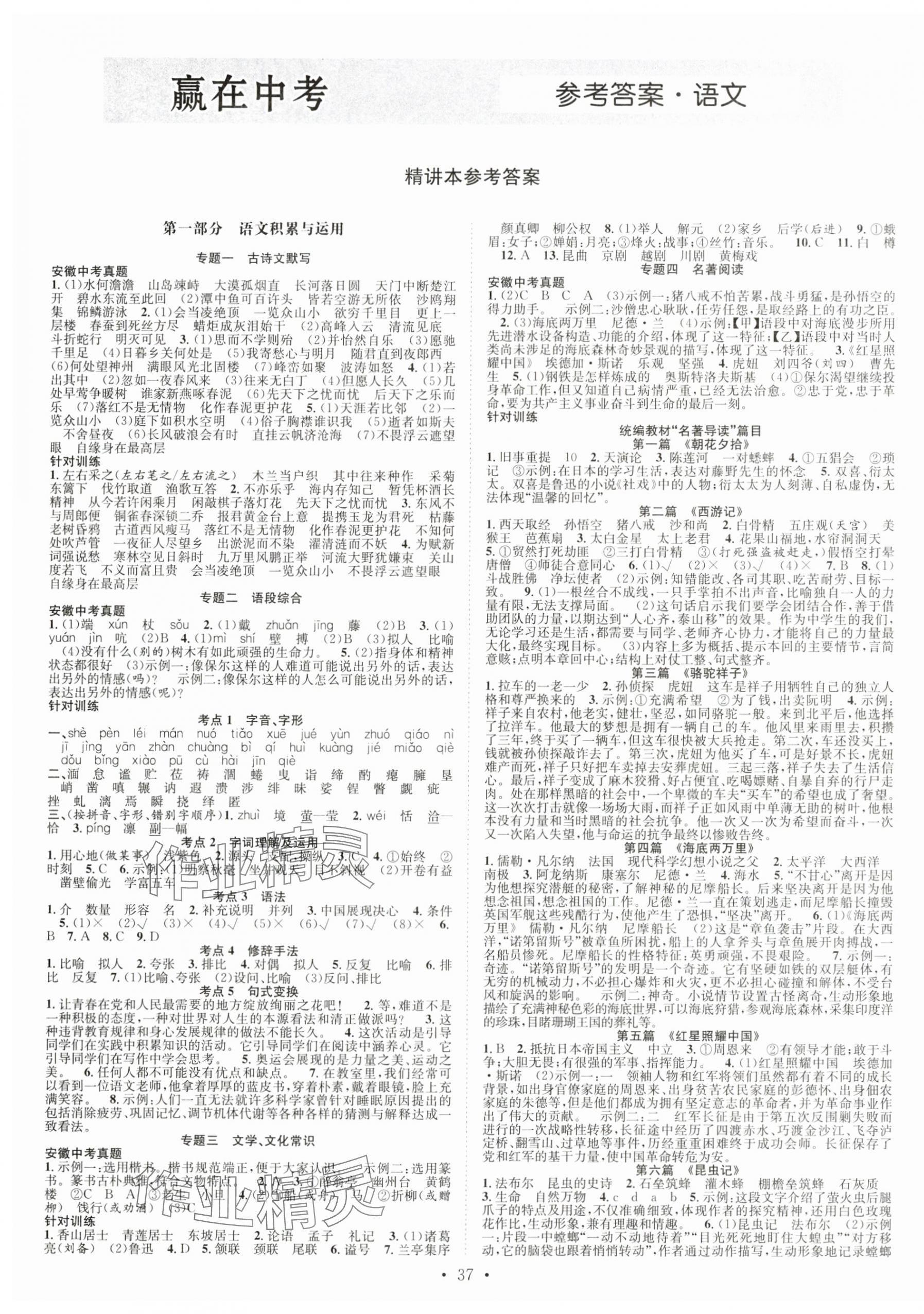 2024年贏在中考搶分王語文安徽中考 第1頁