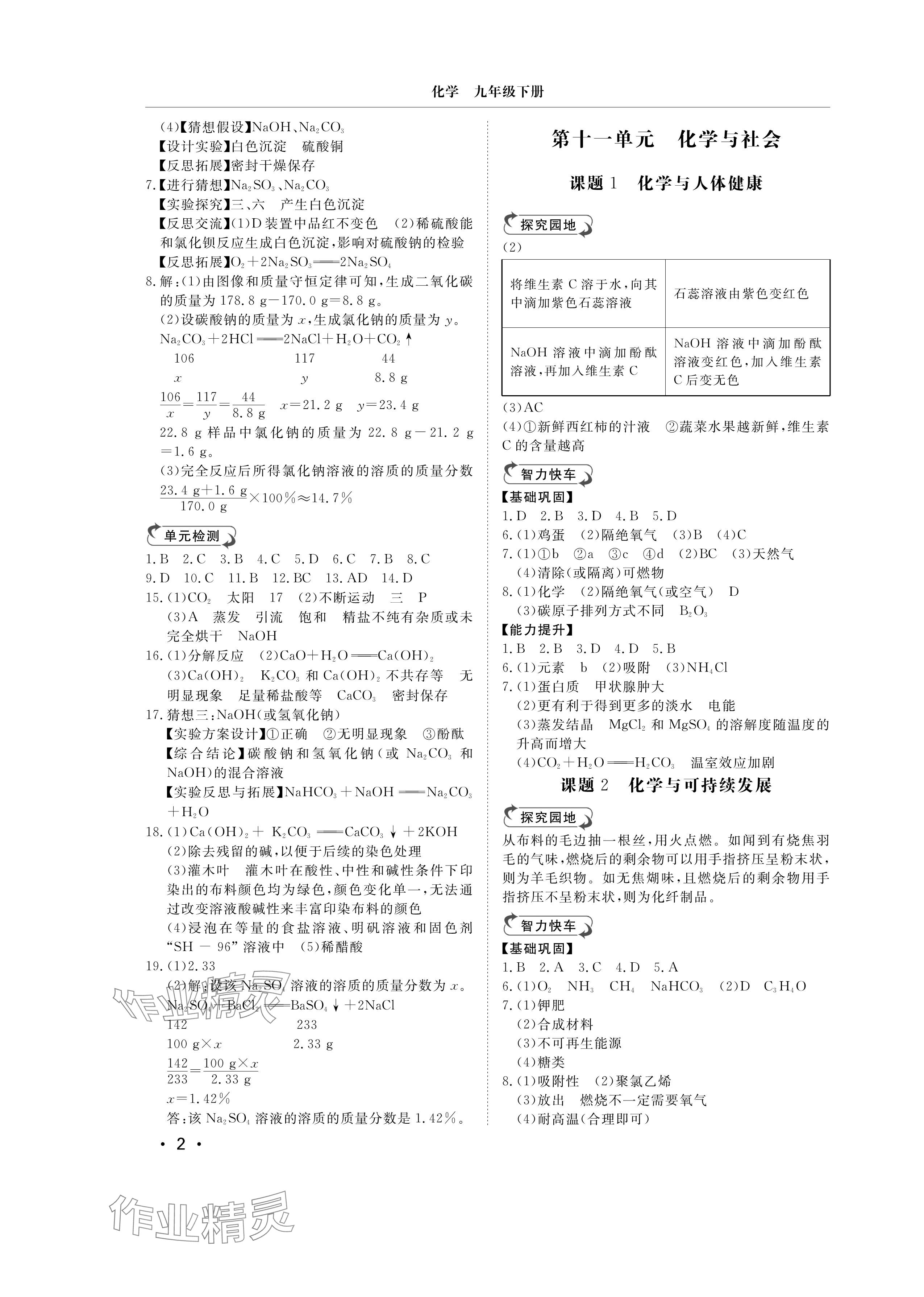2025年行知天下九年级化学下册人教版 参考答案第2页