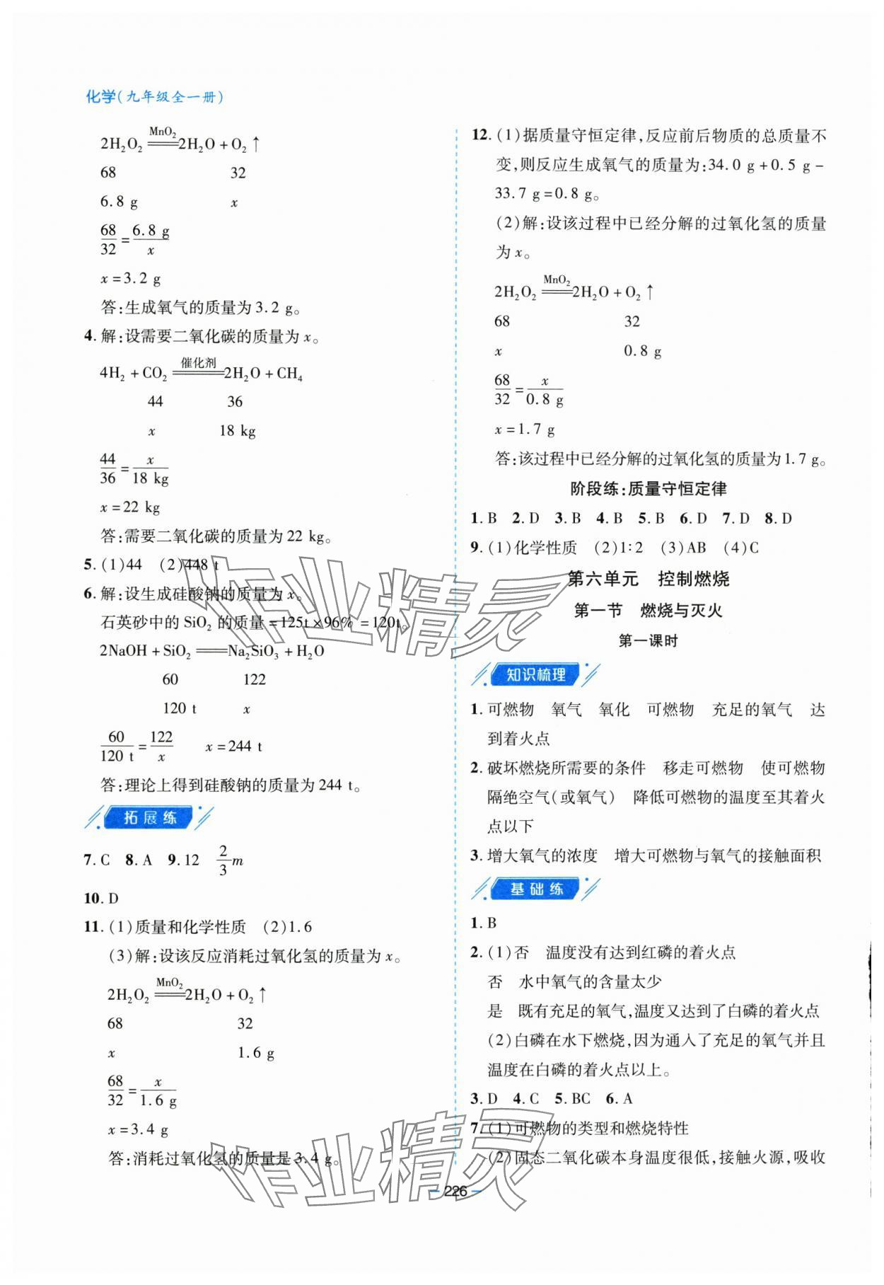 2025年新課堂學習與探究九年級化學全一冊魯教版&nbsp;參考答案第10頁