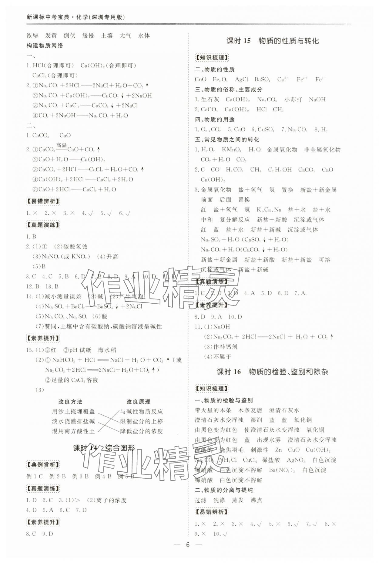 2025年新課標(biāo)中考寶典化學(xué)深圳專版&nbsp;第6頁
