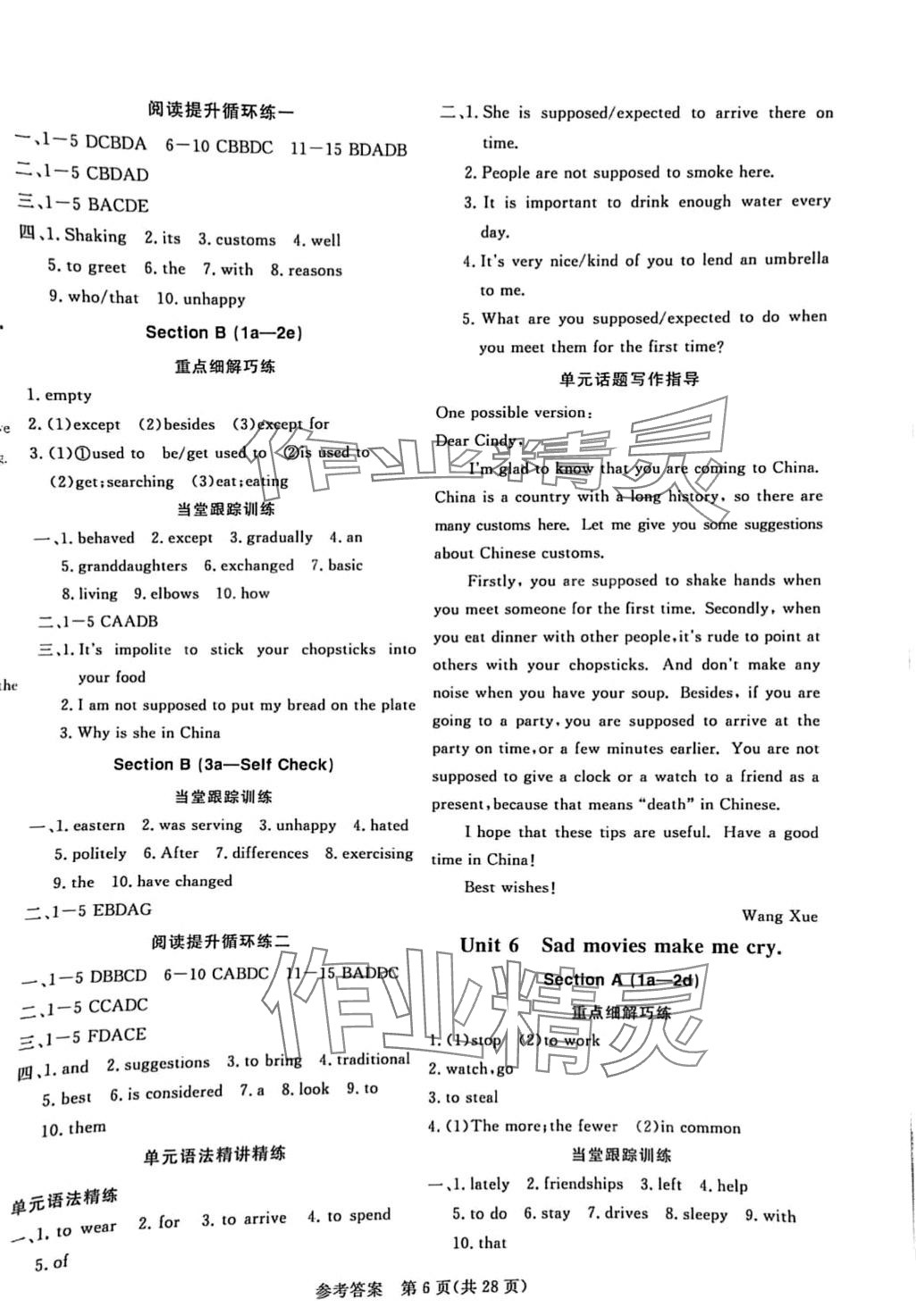 2024年课堂过关循环练九年级英语莱芜专版 第6页