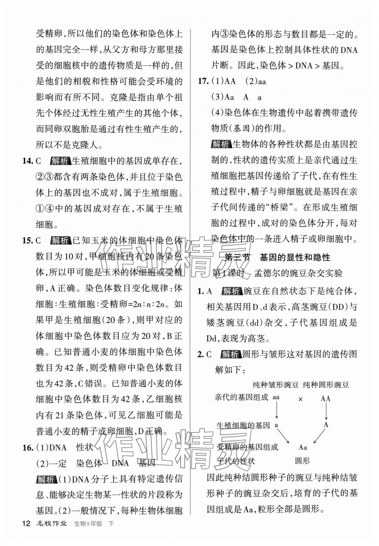 2024年名校作業(yè)八年級生物下冊人教版山西專版 參考答案第12頁