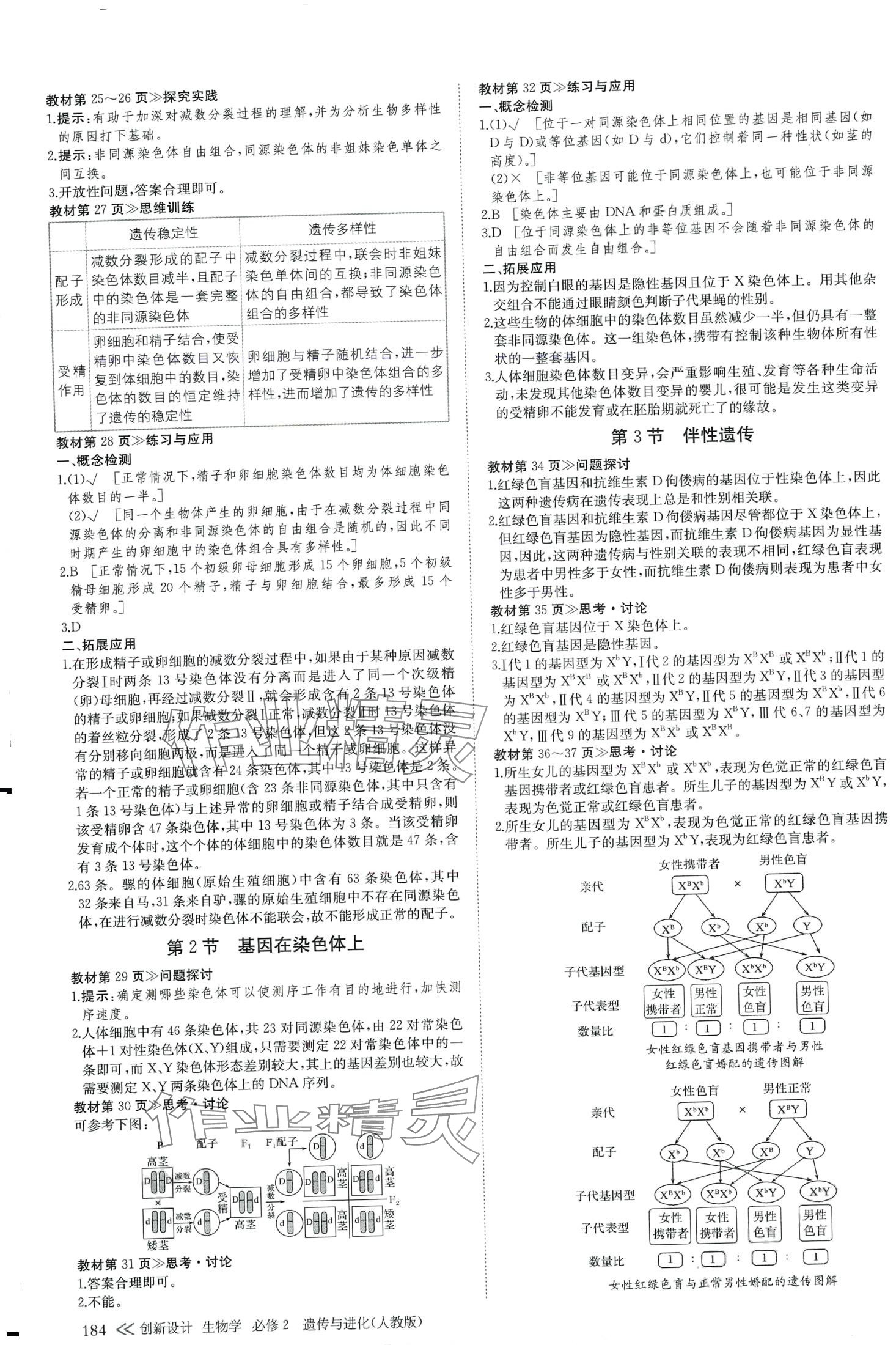 2024年創(chuàng)新設(shè)計(jì)高中生物必修2人教版 第3頁