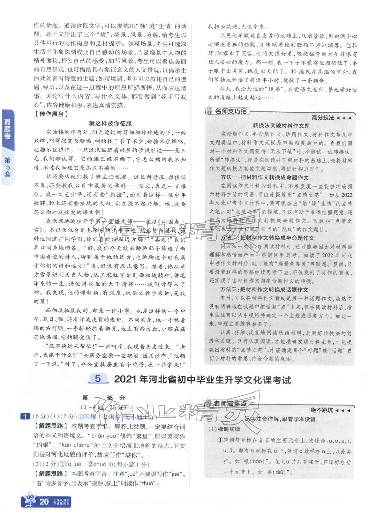 2026年金考卷中考45套汇编语文河北专版 第19页