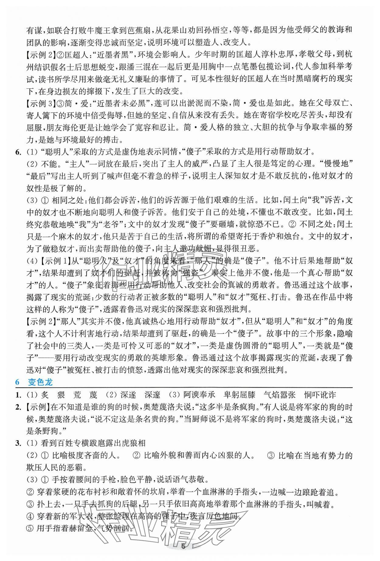 2024年預(yù)學(xué)與導(dǎo)學(xué)九年級(jí)語(yǔ)文下冊(cè)人教版 第5頁(yè)