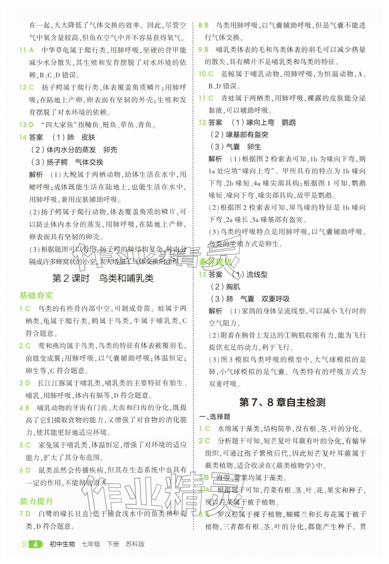 2026年5年中考3年模拟七年级生物下册苏科版&nbsp;第4页