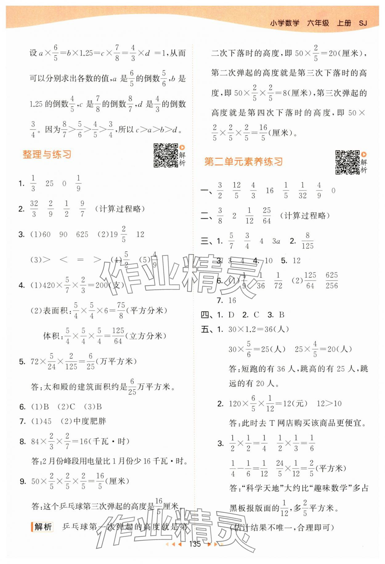 2024年53天天练六年级数学上册苏教版 参考答案第11页