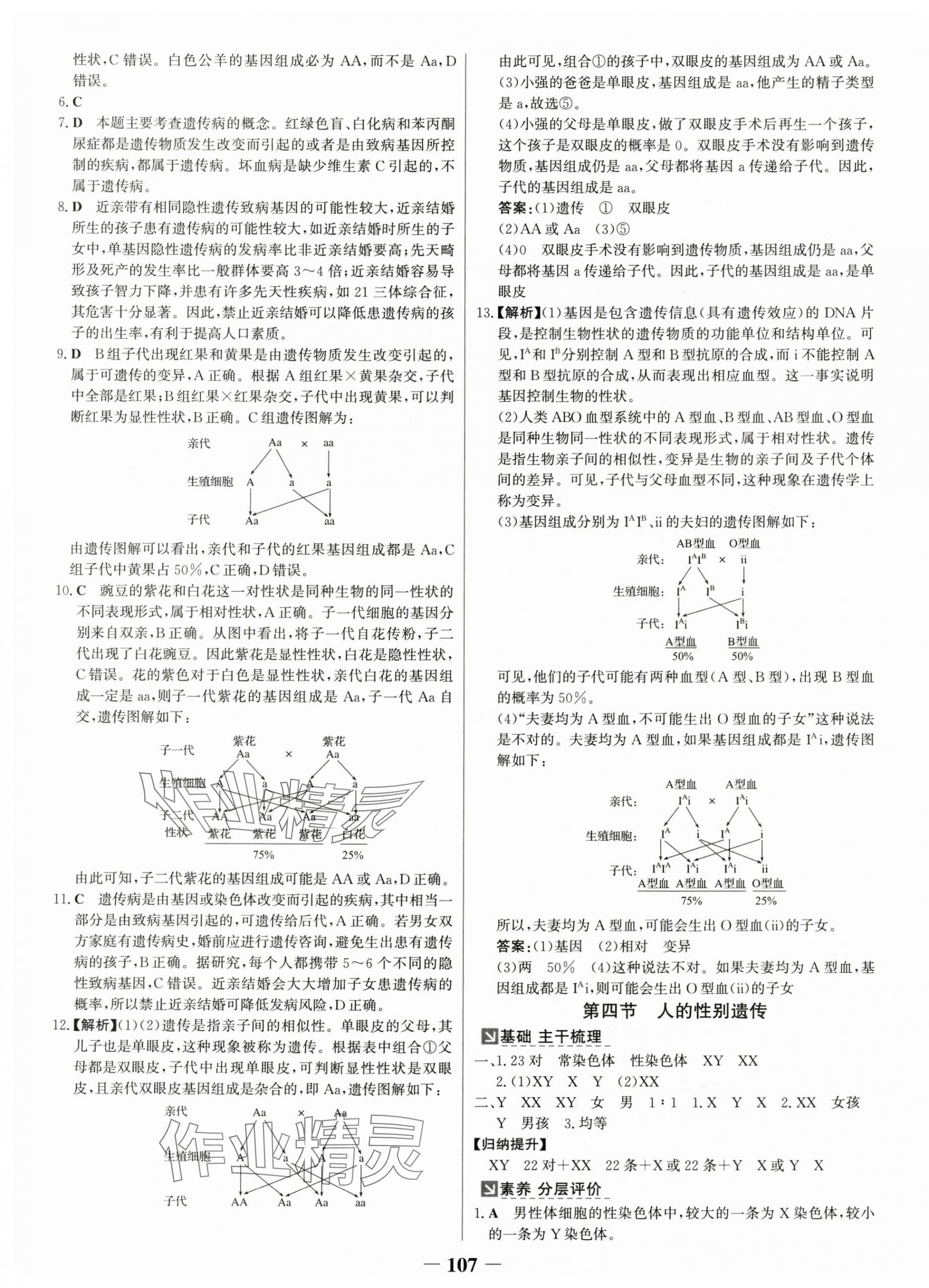 2025年世紀(jì)金榜金榜學(xué)案八年級(jí)生物下冊(cè)人教版 第7頁(yè)