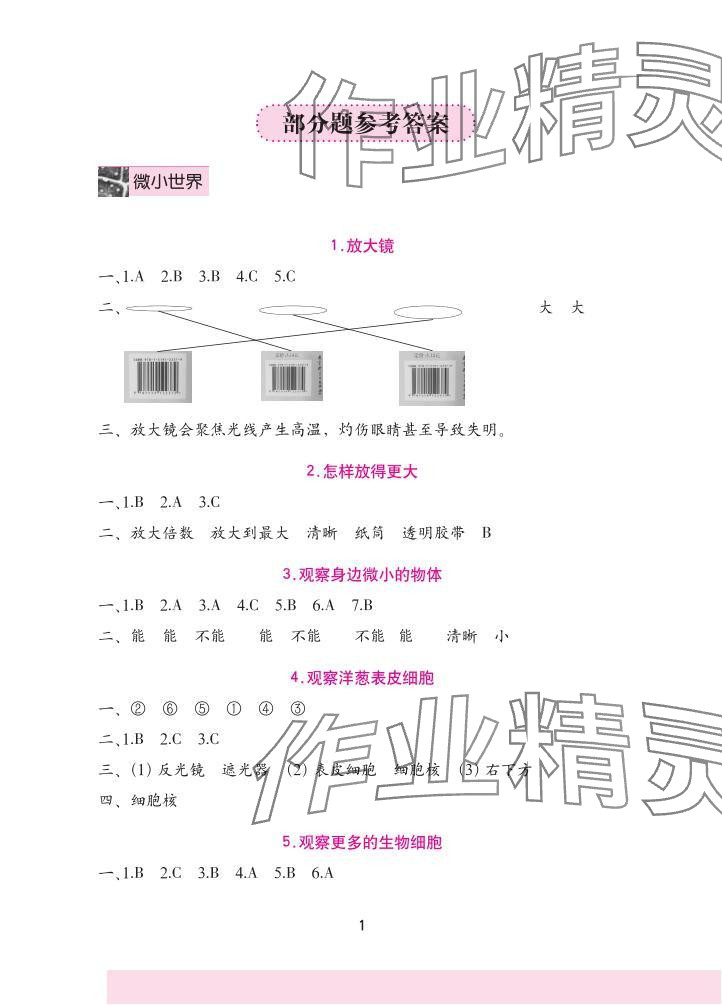 2025年学习与巩固六年级科学上册教科版 参考答案第1页