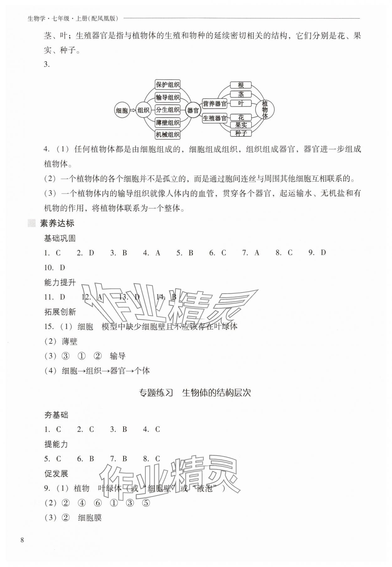 2025年新課程問題解決導(dǎo)學(xué)方案七年級(jí)生物上冊(cè)蘇教版 參考答案第8頁(yè)