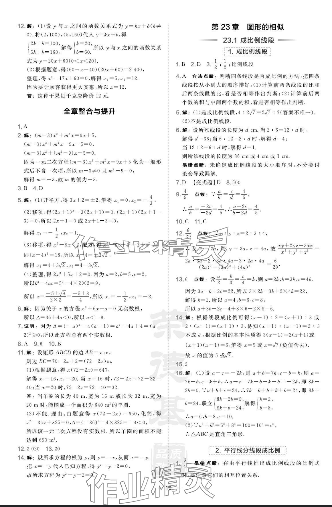 2024年点拨训练九年级数学上册华师大版 参考答案第10页