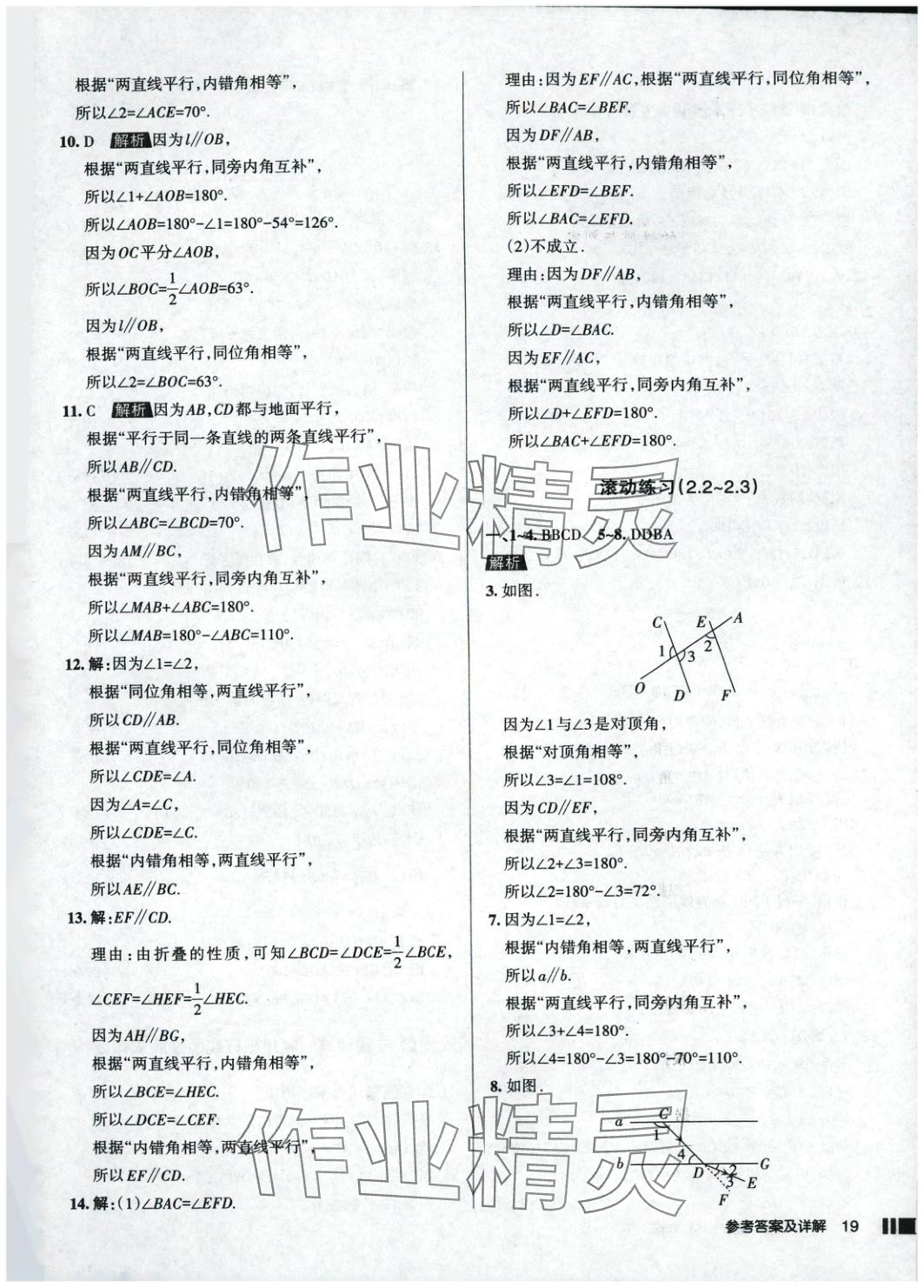 2025年名校作業(yè)七年級數(shù)學(xué)下冊北師大版 參考答案第19頁