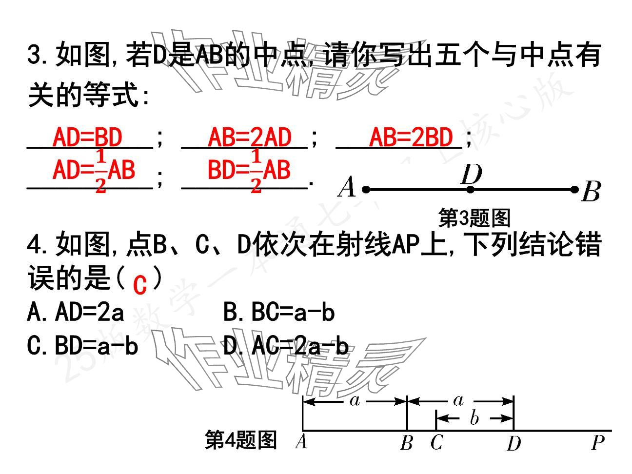 2024年一本通武漢出版社七年級(jí)數(shù)學(xué)上冊(cè)北師大版核心板 參考答案第17頁(yè)