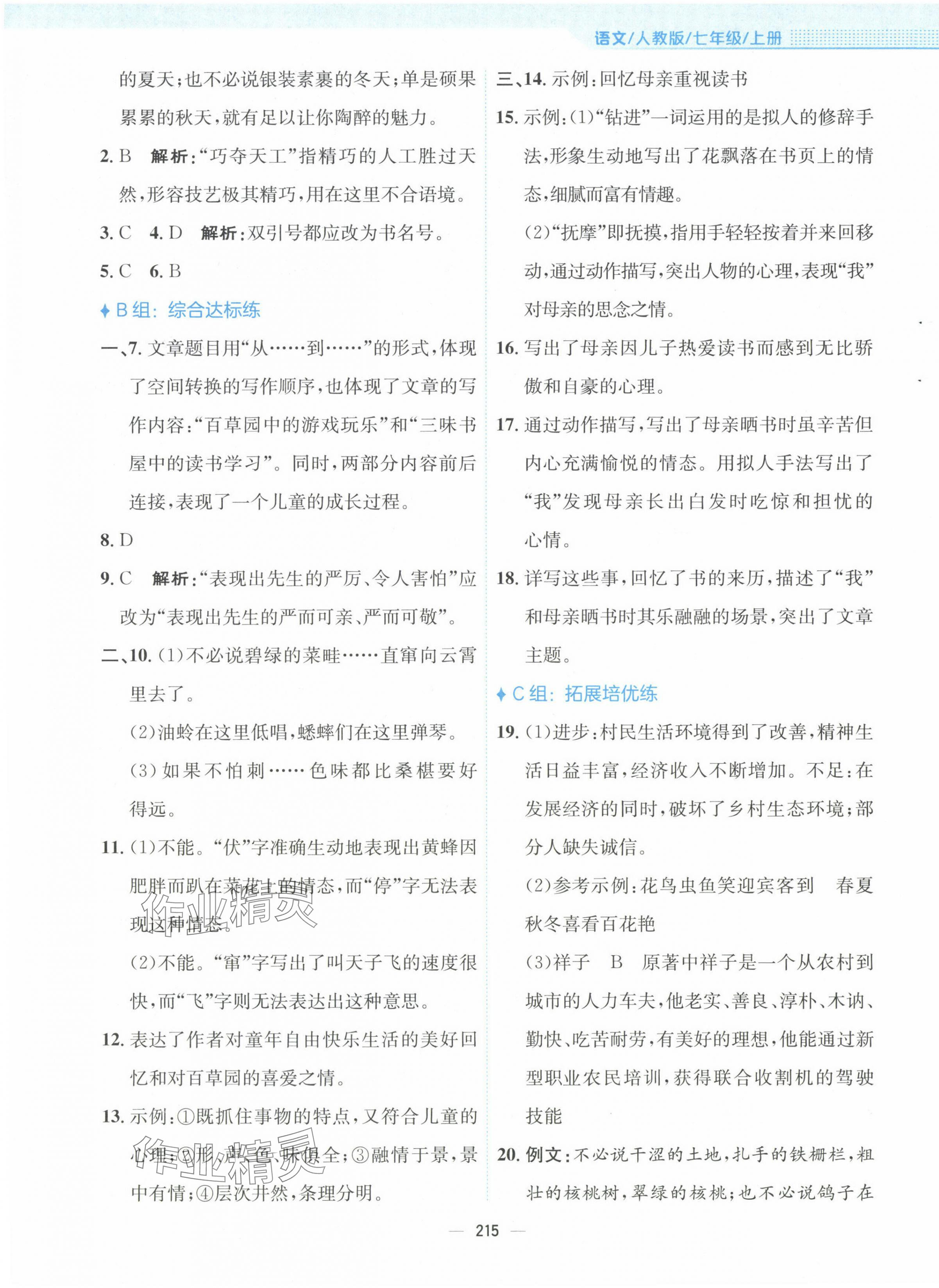 2023年新编基础训练七年级语文上册人教版 参考答案第11页