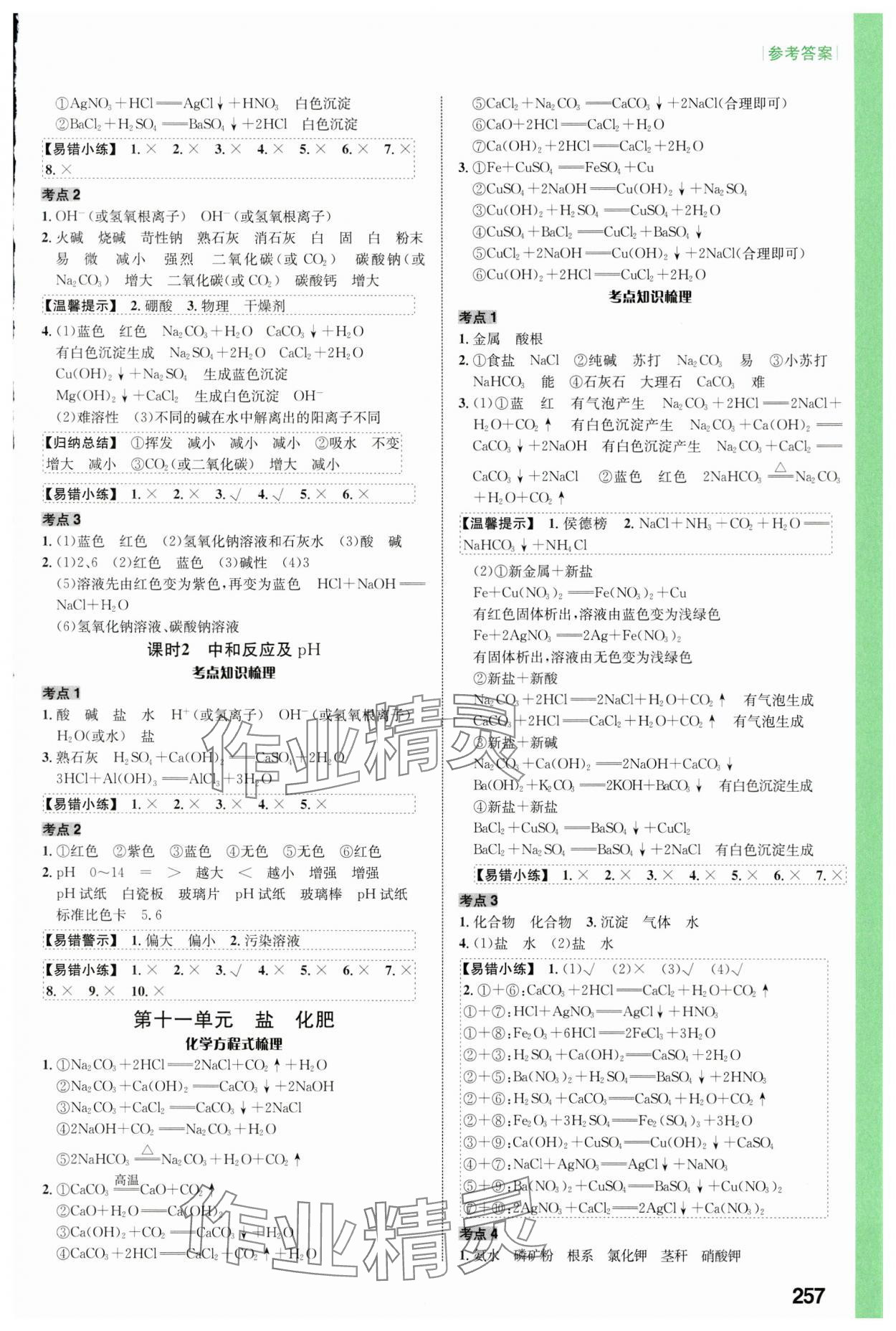 2024年中考对策化学人教版 参考答案第9页