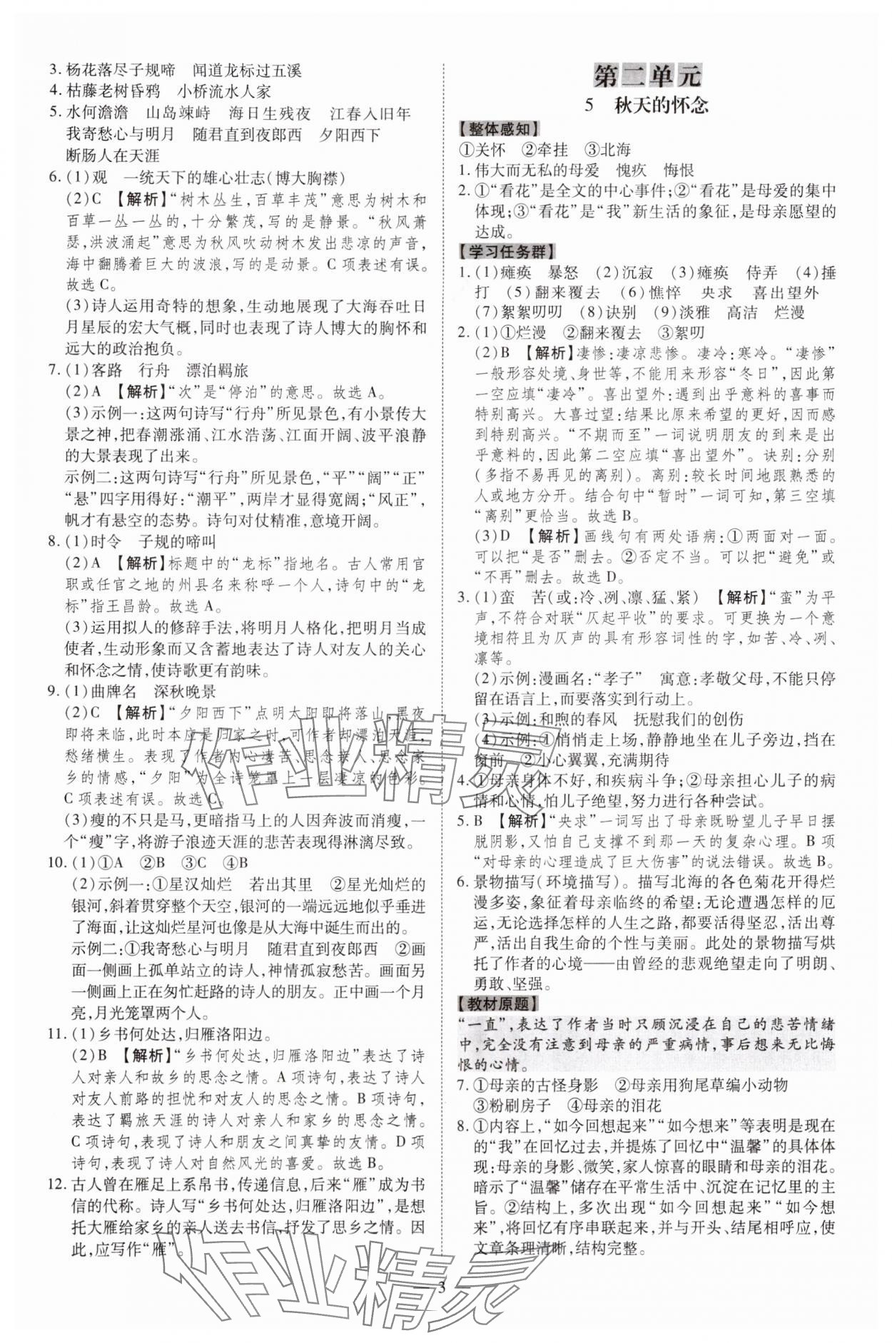 2024年同步?jīng)_刺七年級語文上冊人教版 參考答案第3頁