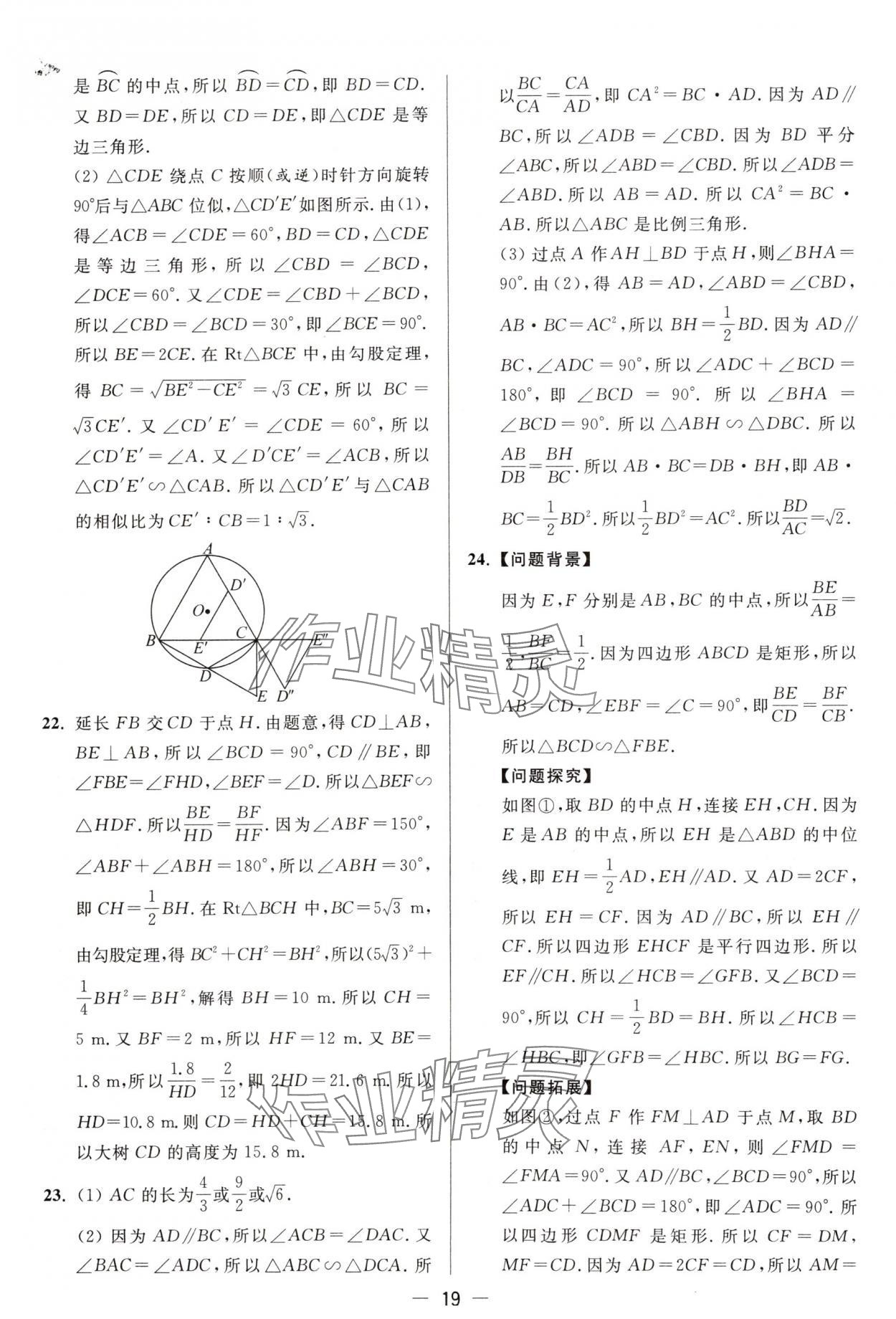 2025年亮點(diǎn)給力大試卷九年級數(shù)學(xué)下冊蘇科版 第19頁