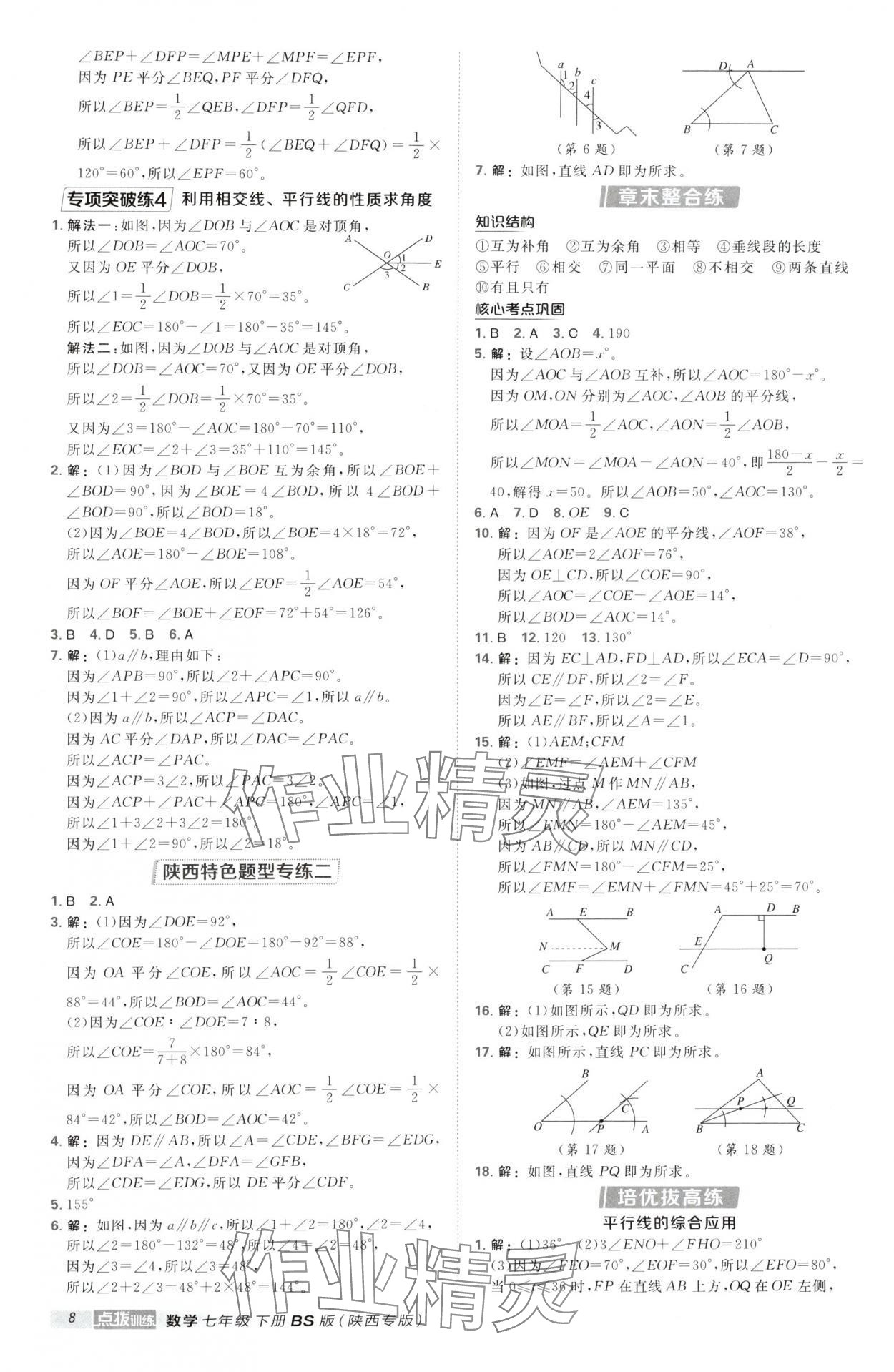 2025年點撥訓練七年級數學下冊北師大版陜西專版 第8頁
