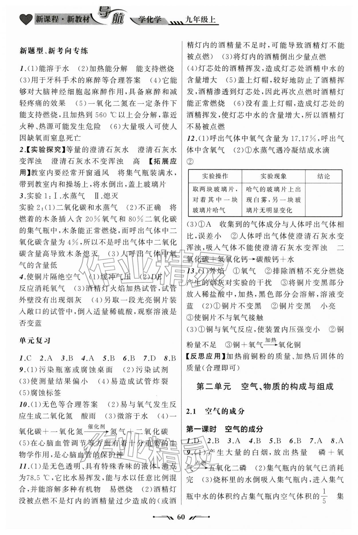 2025年新课程新教材导航学九年级化学上册科学版 第2页