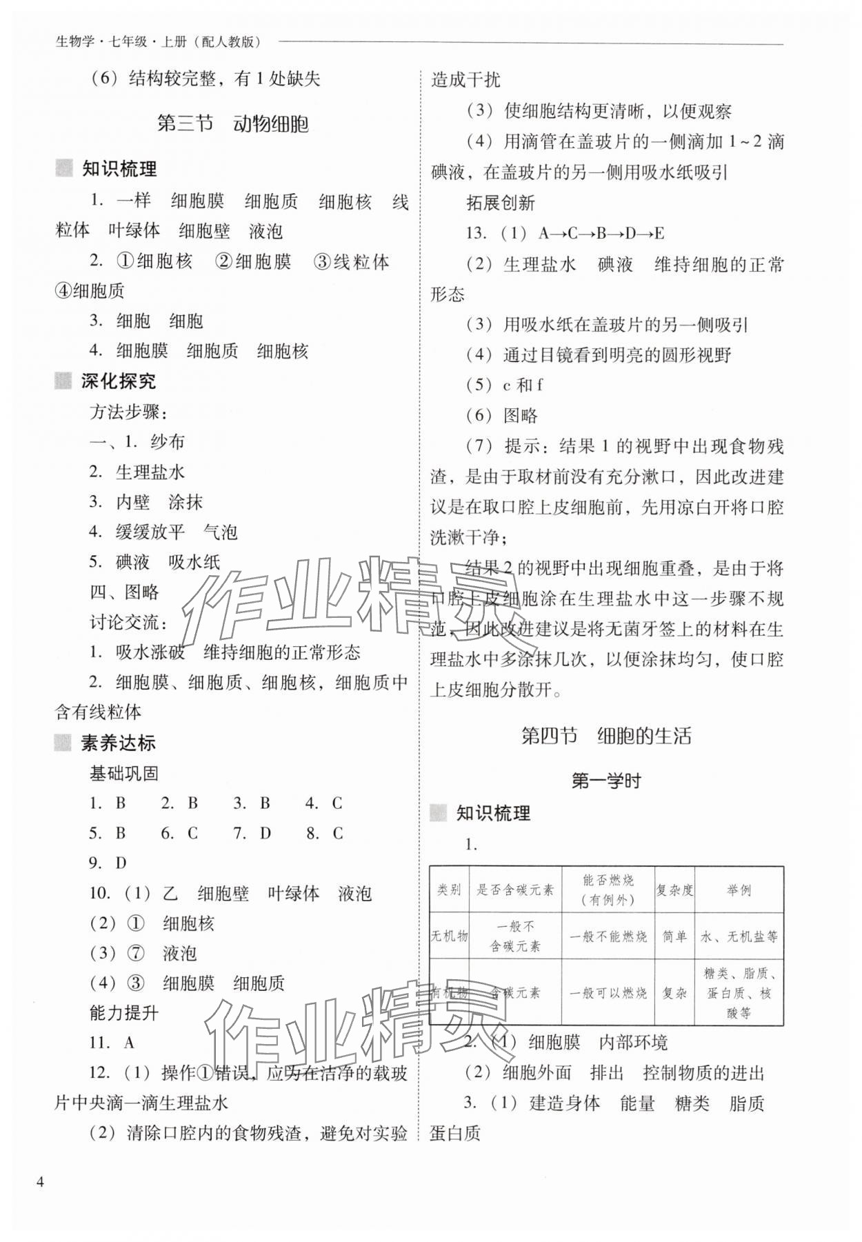 2025年新課程問題解決導學方案七年級生物上冊人教版&nbsp;參考答案第4頁