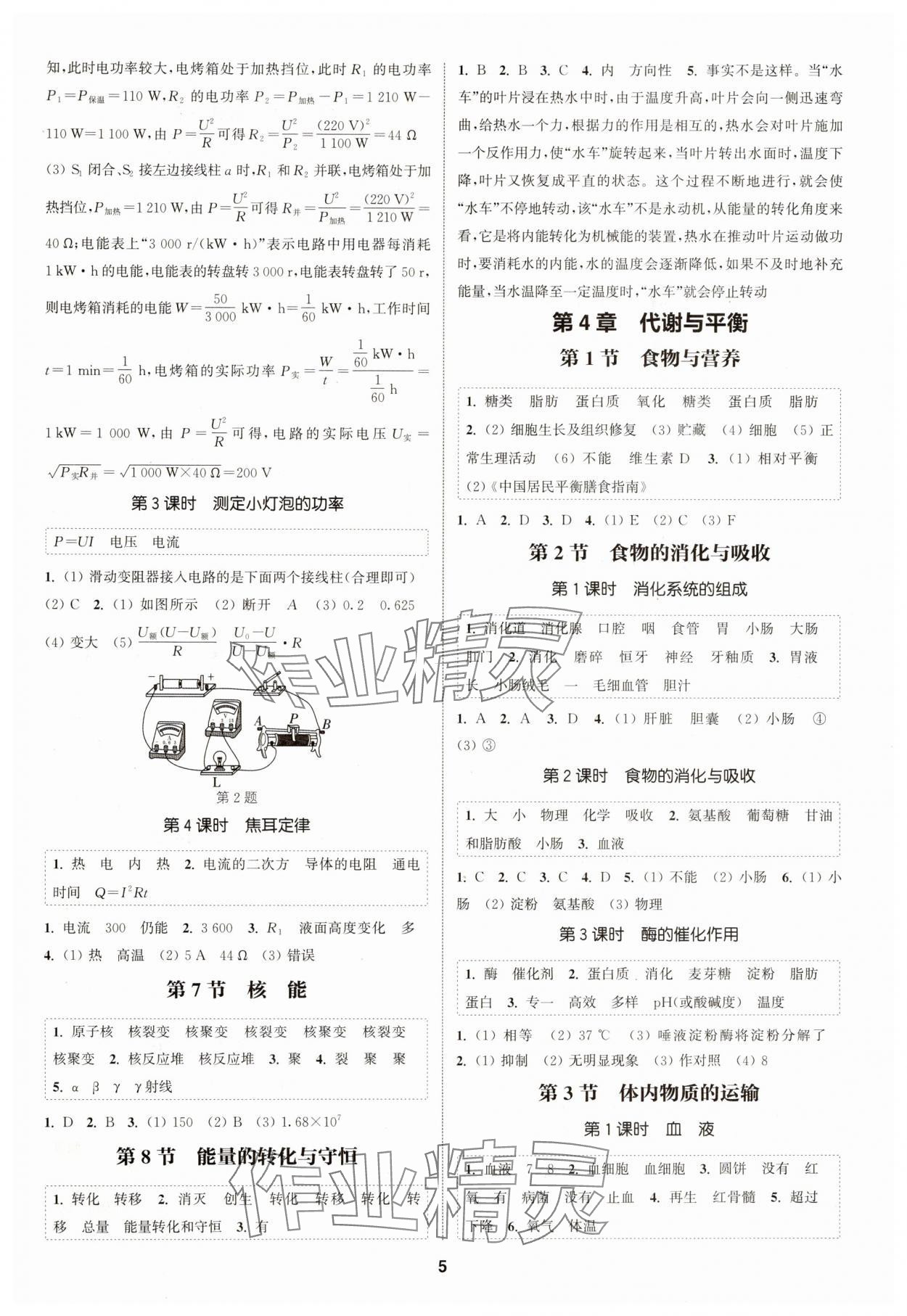 2024年通城學典課時作業(yè)本九年級科學全一冊浙教版 第5頁