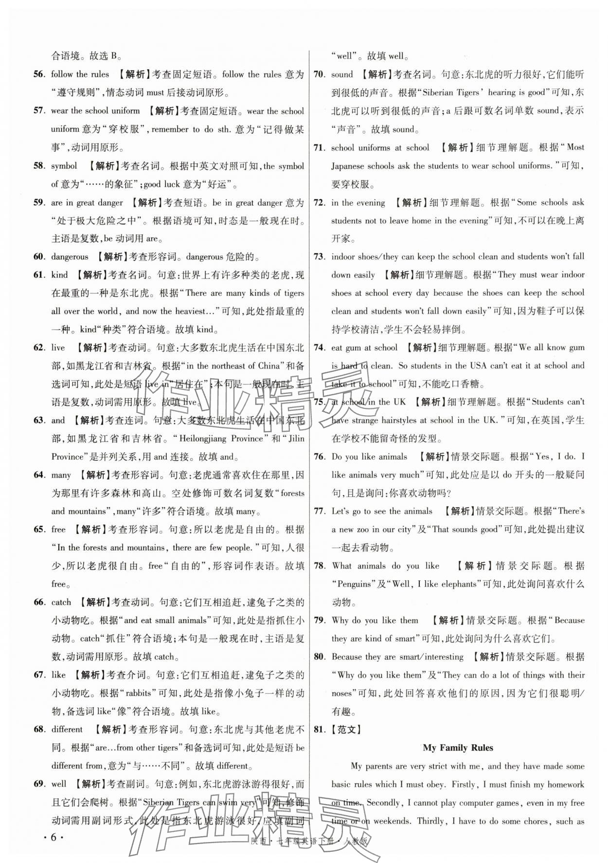 2025年初中畢業(yè)升學(xué)真題詳解七年級(jí)英語(yǔ)下冊(cè)人教版陜西專版 第6頁(yè)