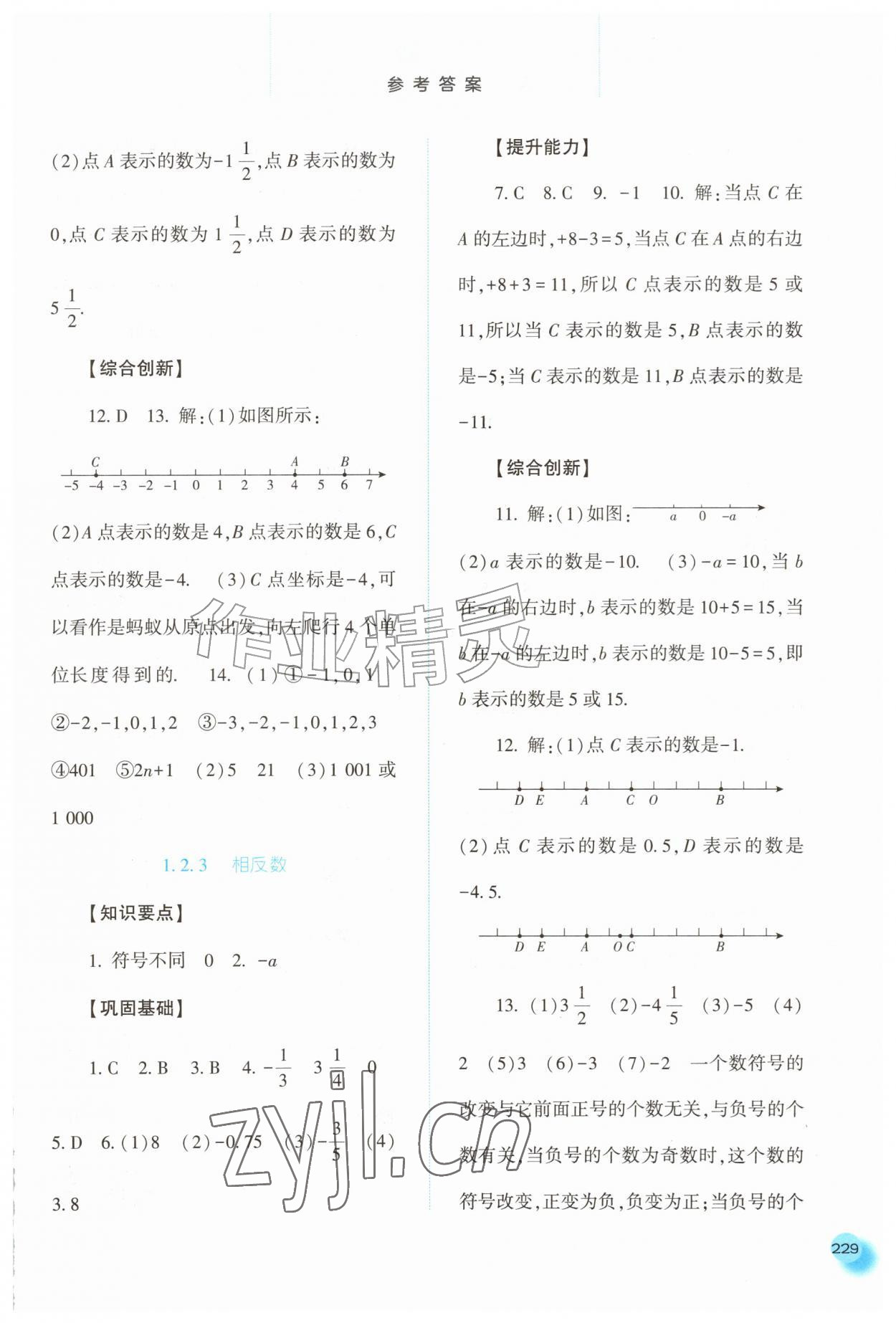2026年同步训练河北人民出版社七年级数学上册人教版&nbsp;第3页