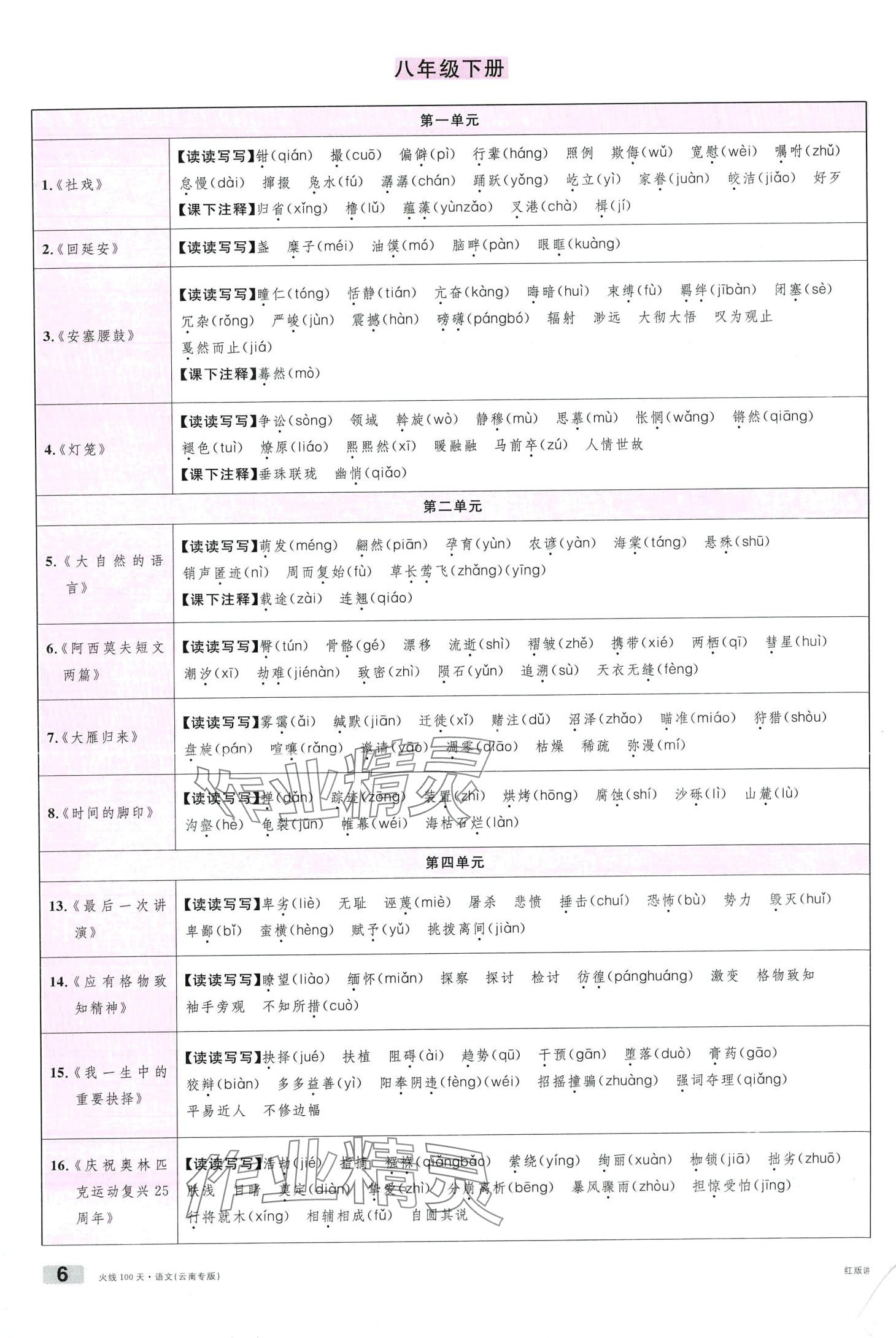 2024年火線100天語文中考云南專版 第6頁