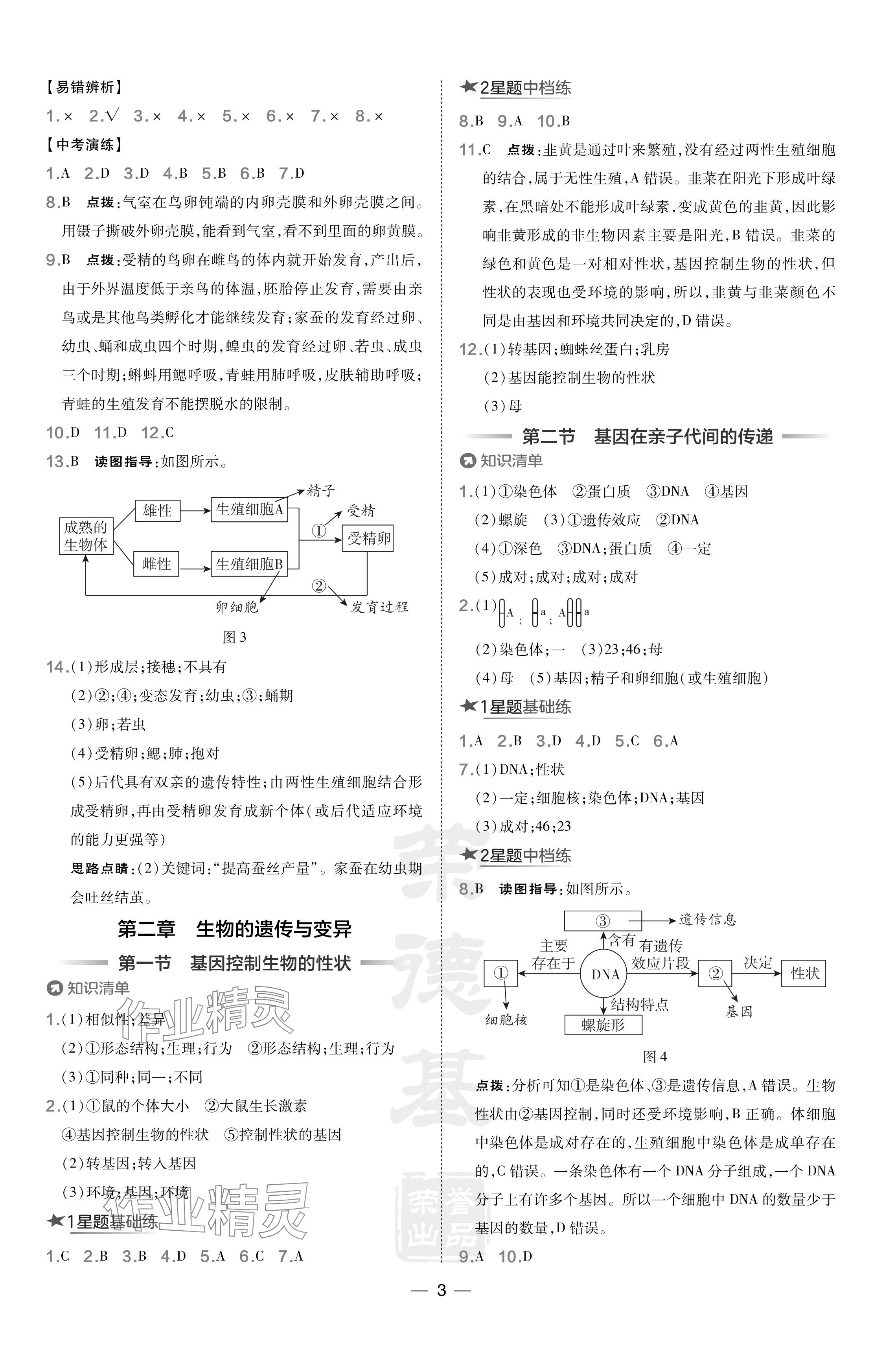 2024年点拨训练八年级生物下册人教版辽宁专版 参考答案第3页