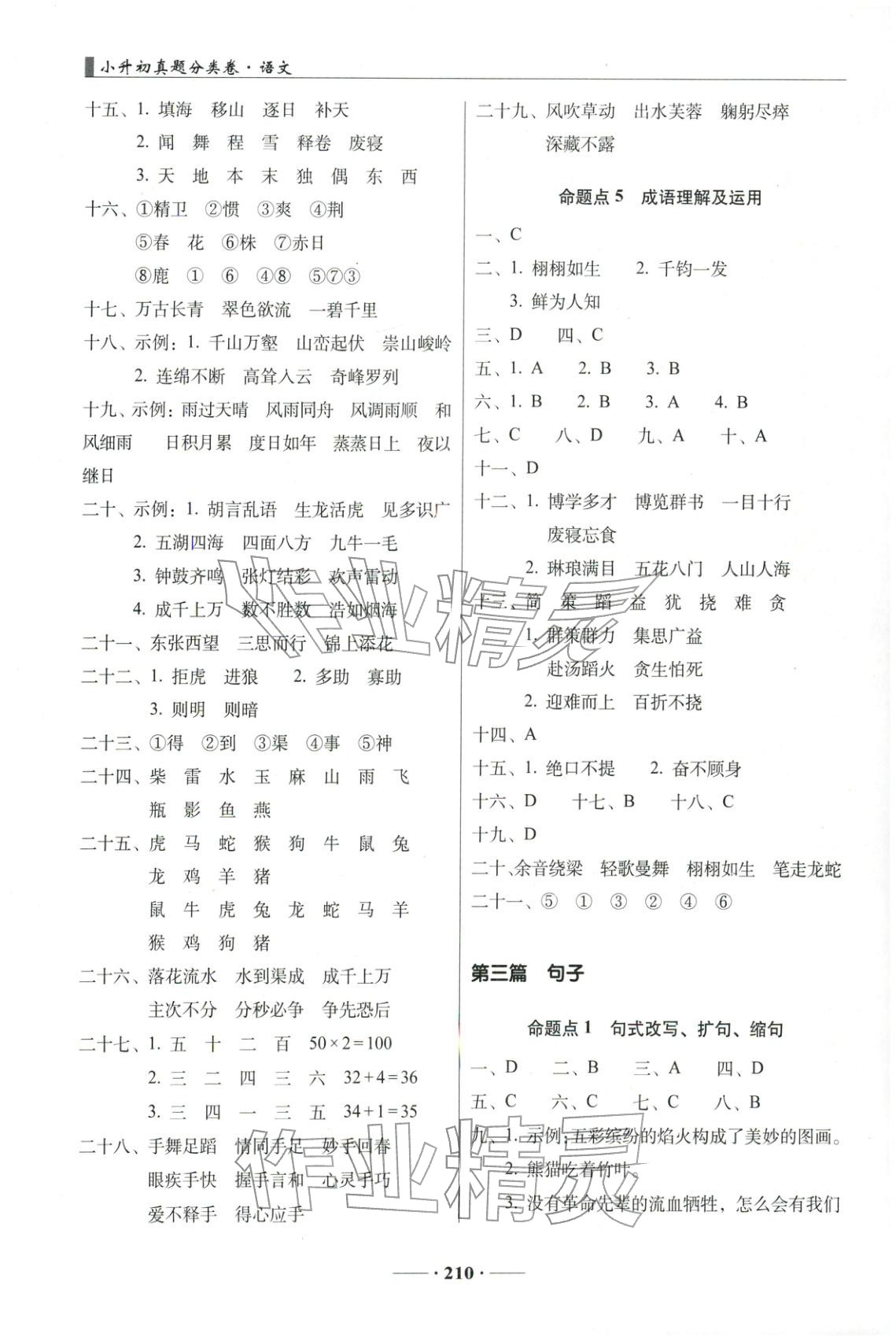2026年68所名校图书小升初真题分类卷六年级语文 第3页