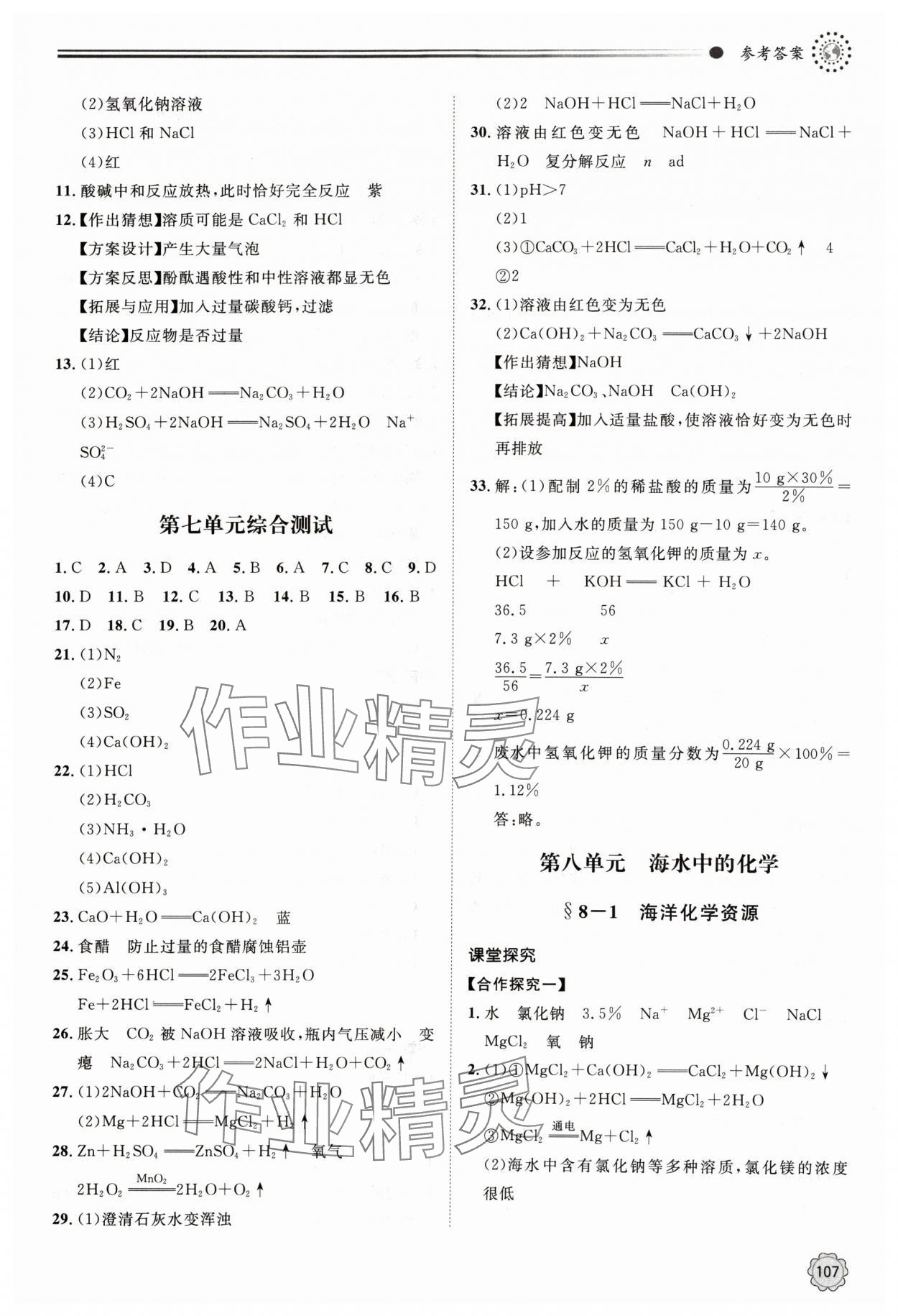 2024年初中同步練習冊九年級化學下冊魯教版明天出版社 第5頁