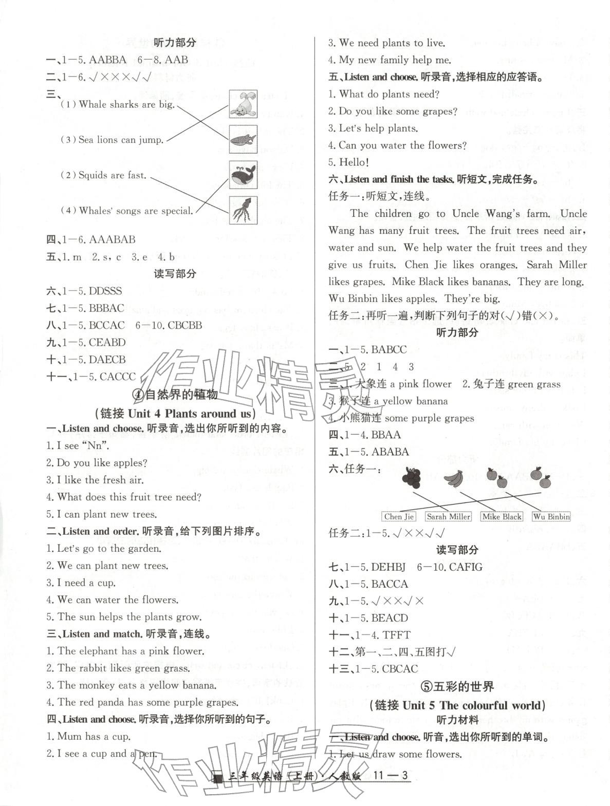 2025年浙江期末延边人民出版社三年级英语上册人教版 参考答案第3页