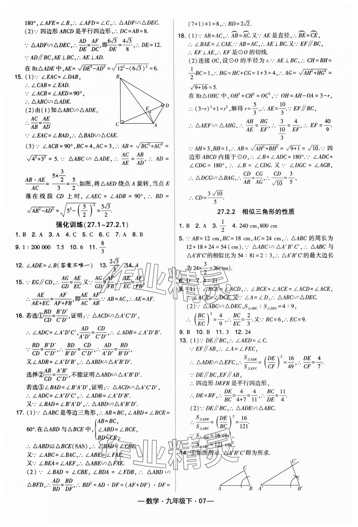 2024年經(jīng)綸學典課時作業(yè)九年級數(shù)學下冊人教版 第7頁