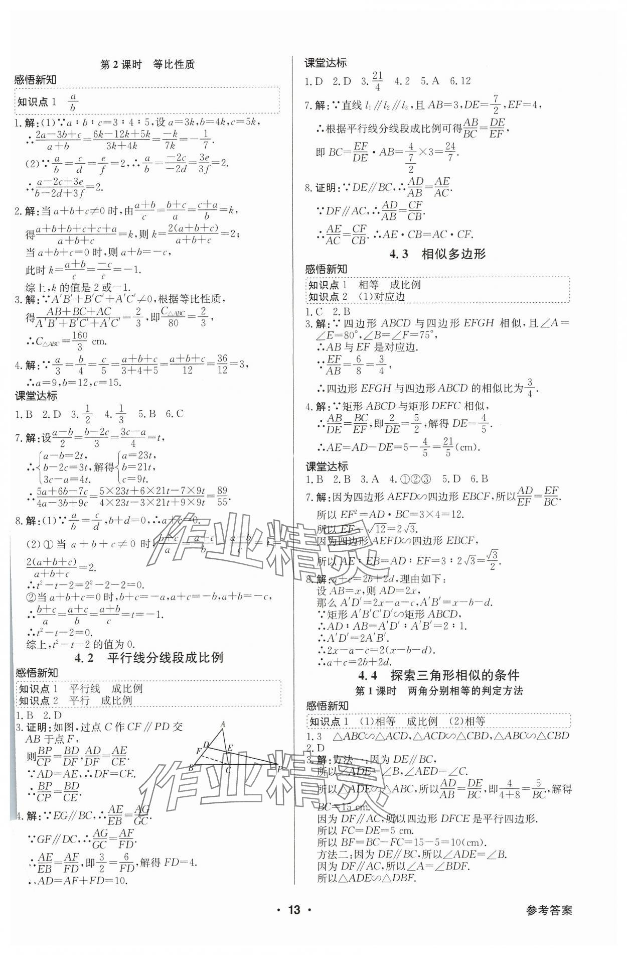 2023年金牌學(xué)典九年級數(shù)學(xué)全一冊北師大版&nbsp;參考答案第13頁