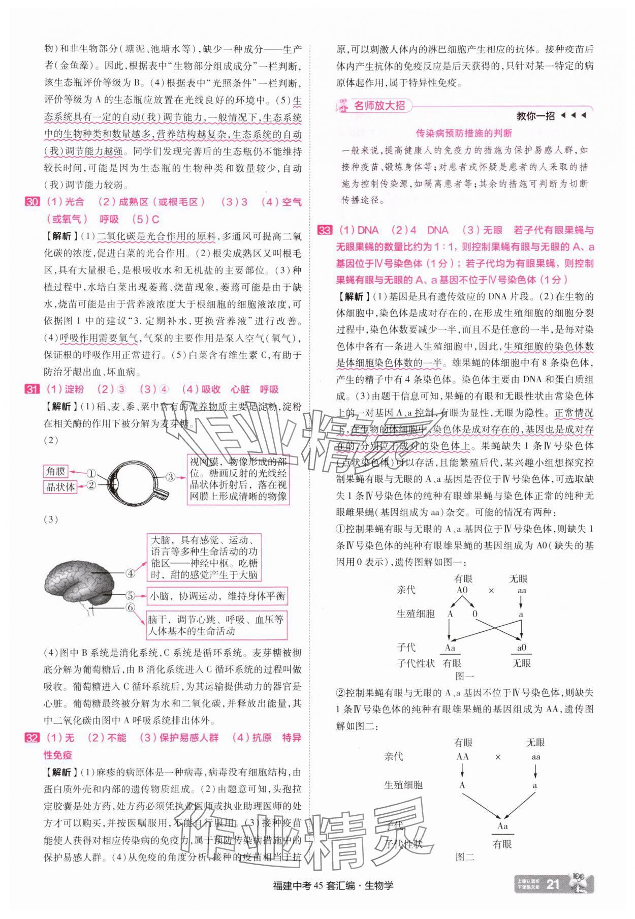 2025年金考卷福建中考45套匯編八年級生物 參考答案第21頁