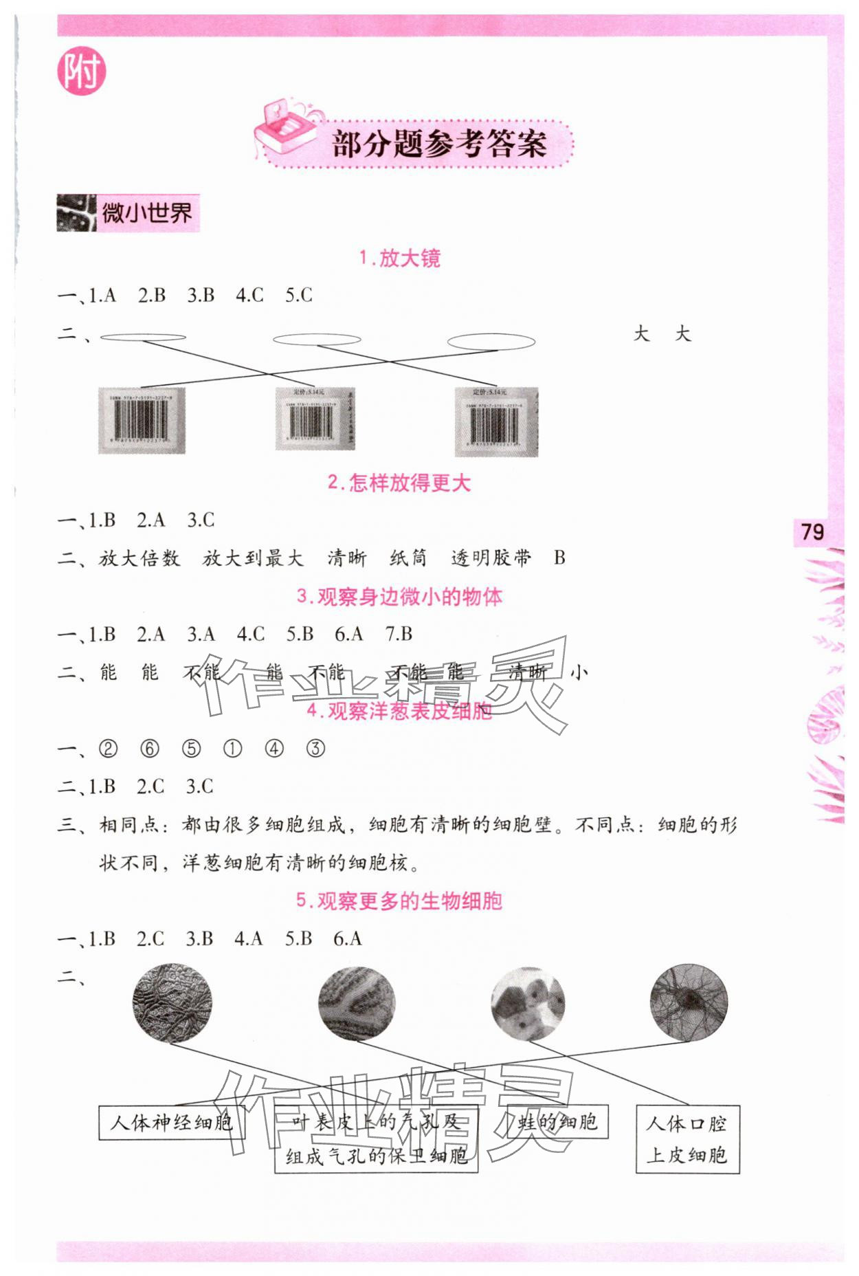 2023年學習與鞏固六年級科學上冊教科版 第1頁