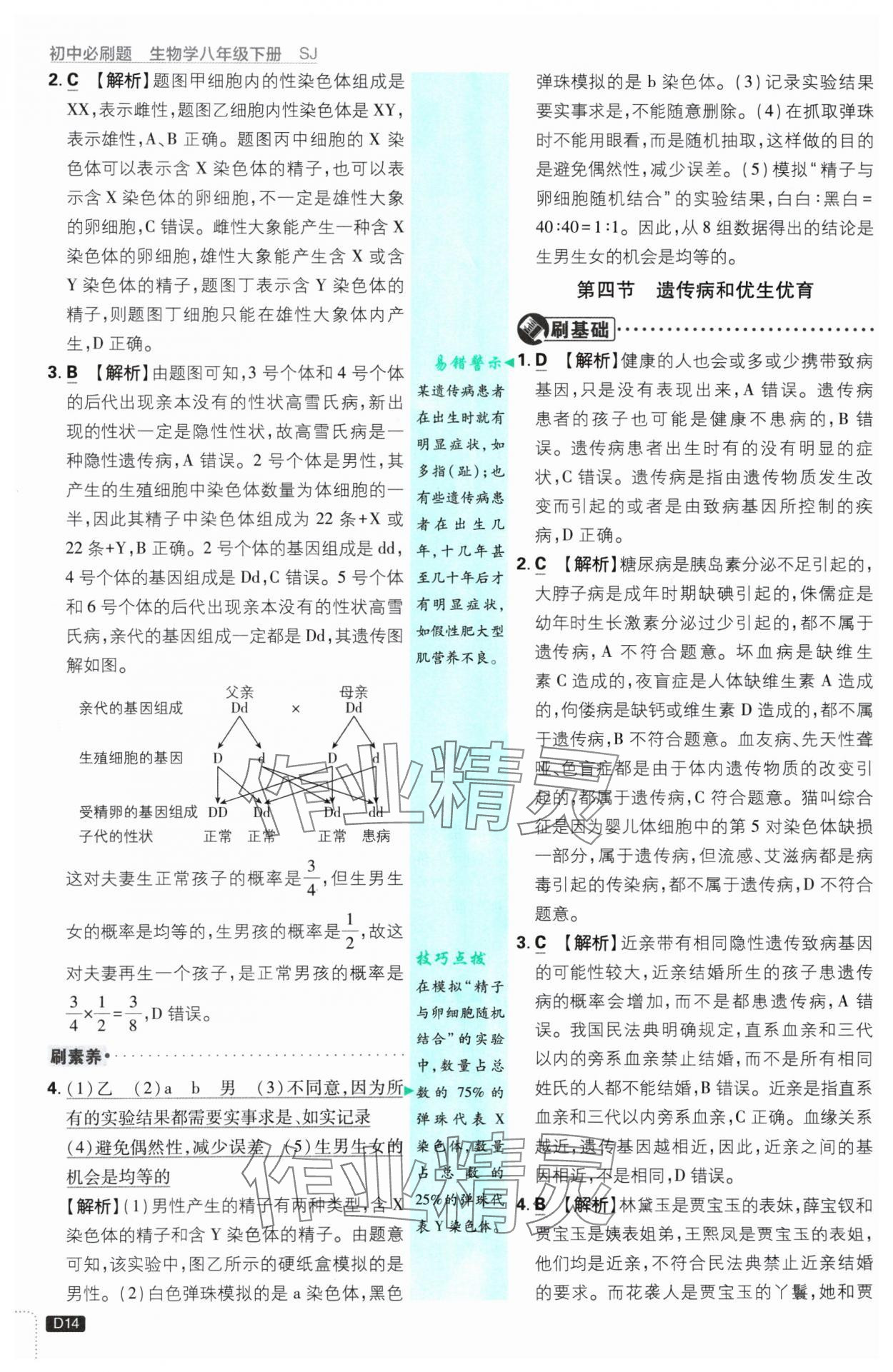 2025年初中必刷題八年級生物下冊蘇教版 參考答案第14頁