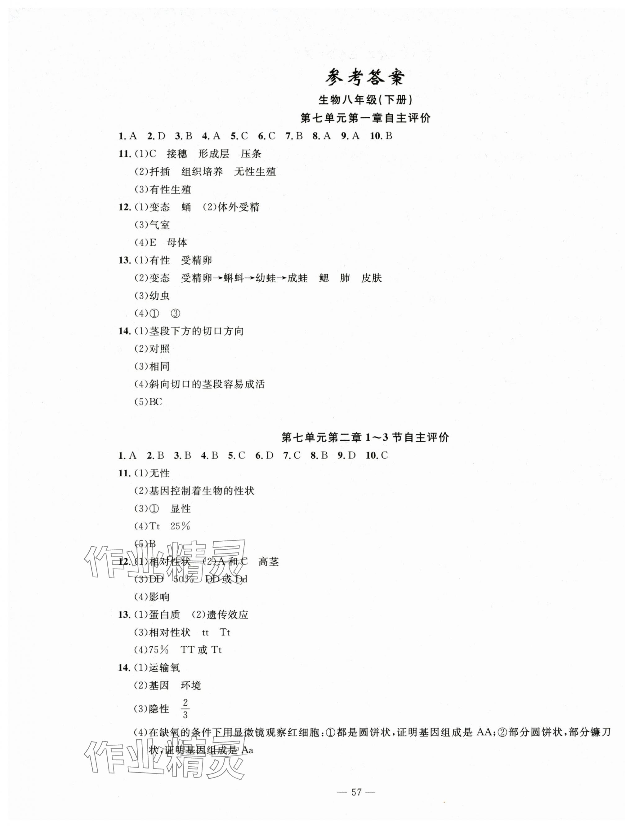 2025年智慧课堂自主评价八年级生物下册通用版 第1页