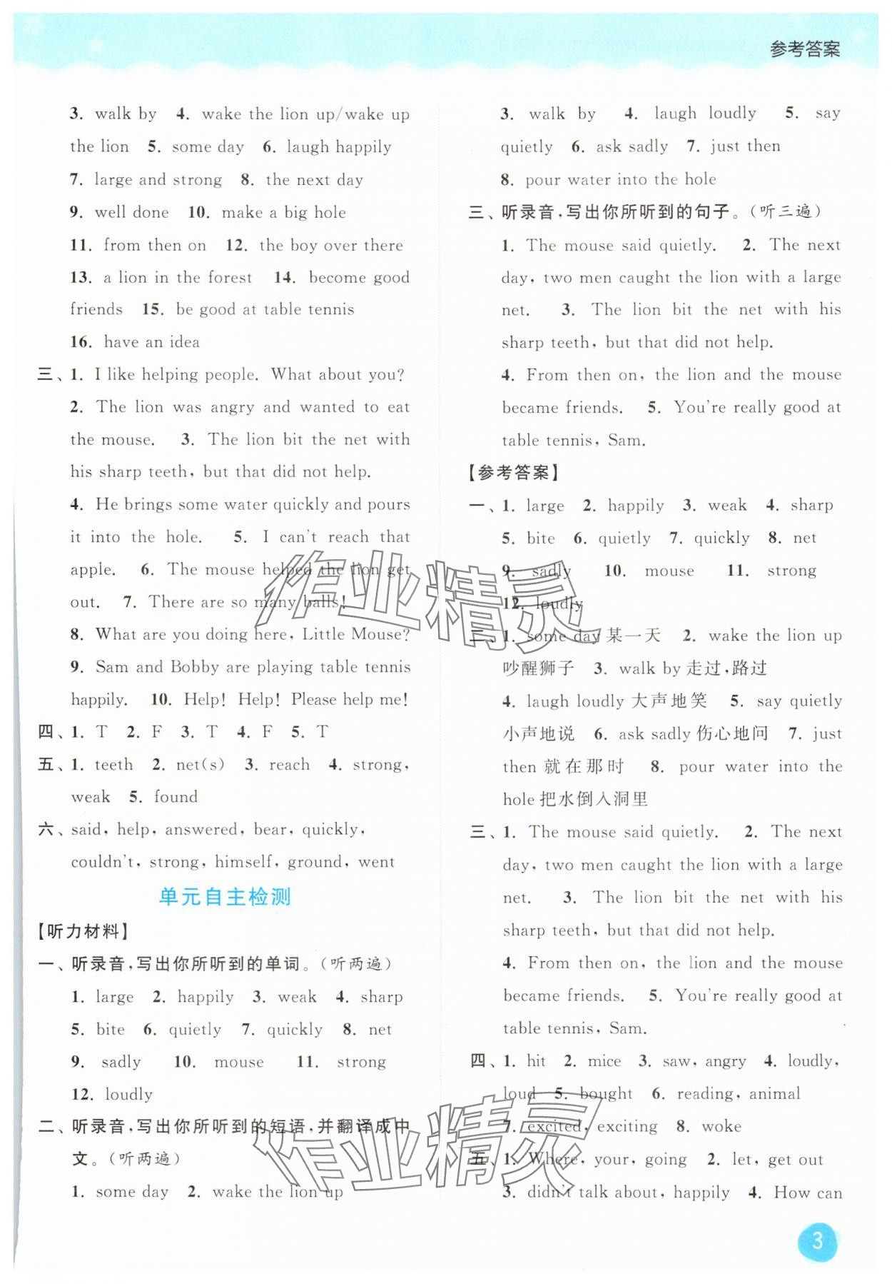 2025年亮點(diǎn)給力默寫(xiě)大通關(guān)六年級(jí)英語(yǔ)下冊(cè)譯林版 第3頁(yè)